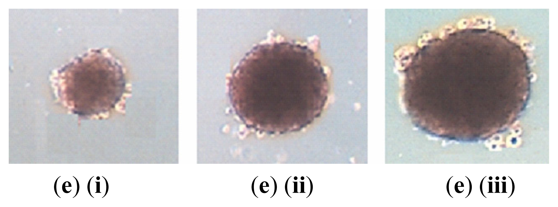 Ijms 14 13266f1c 1024