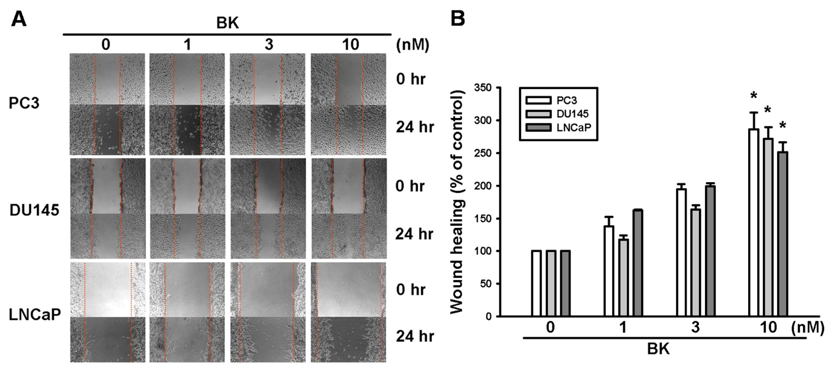 Ijms 14 13329f1a 1024