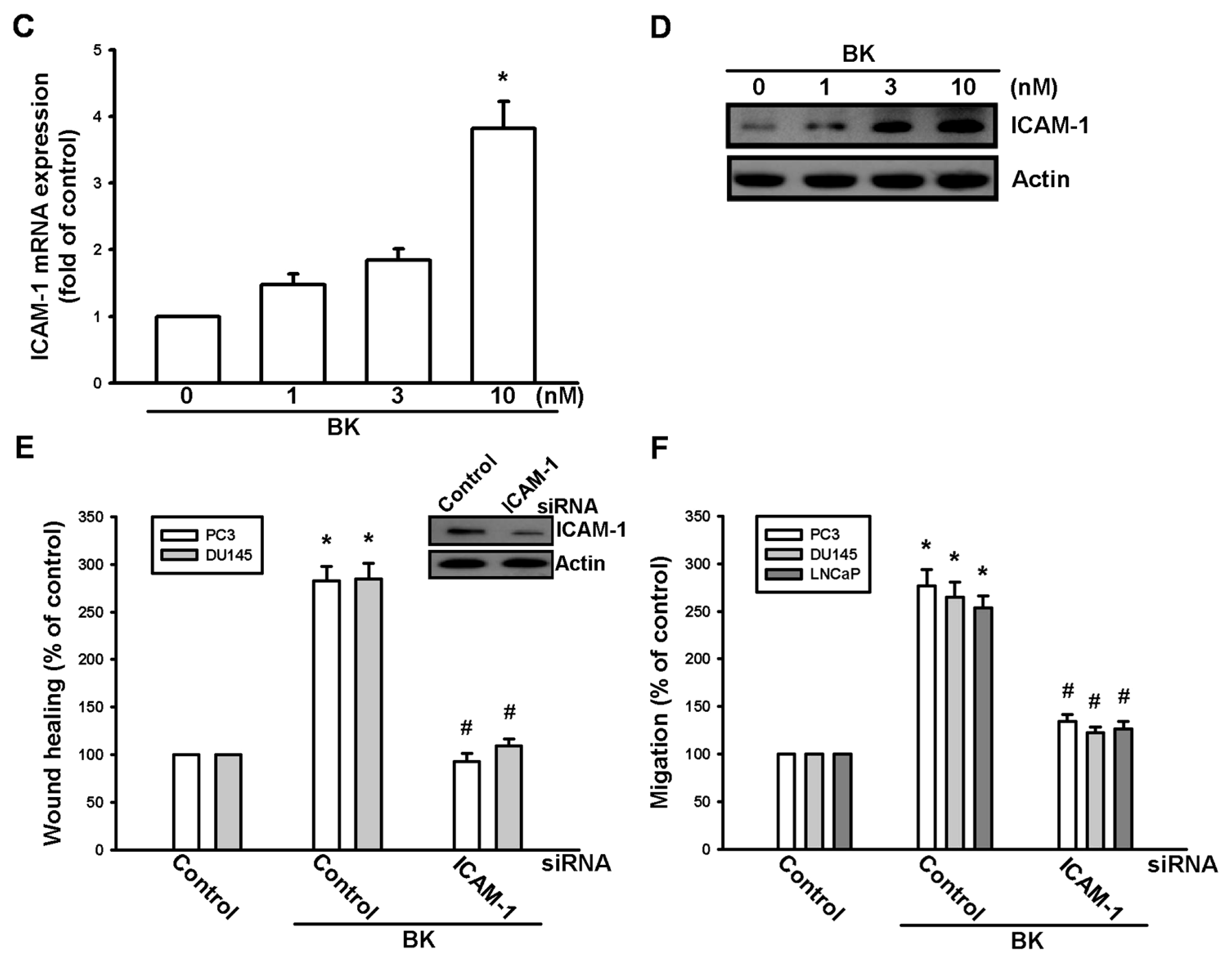 Ijms 14 13329f1b 1024
