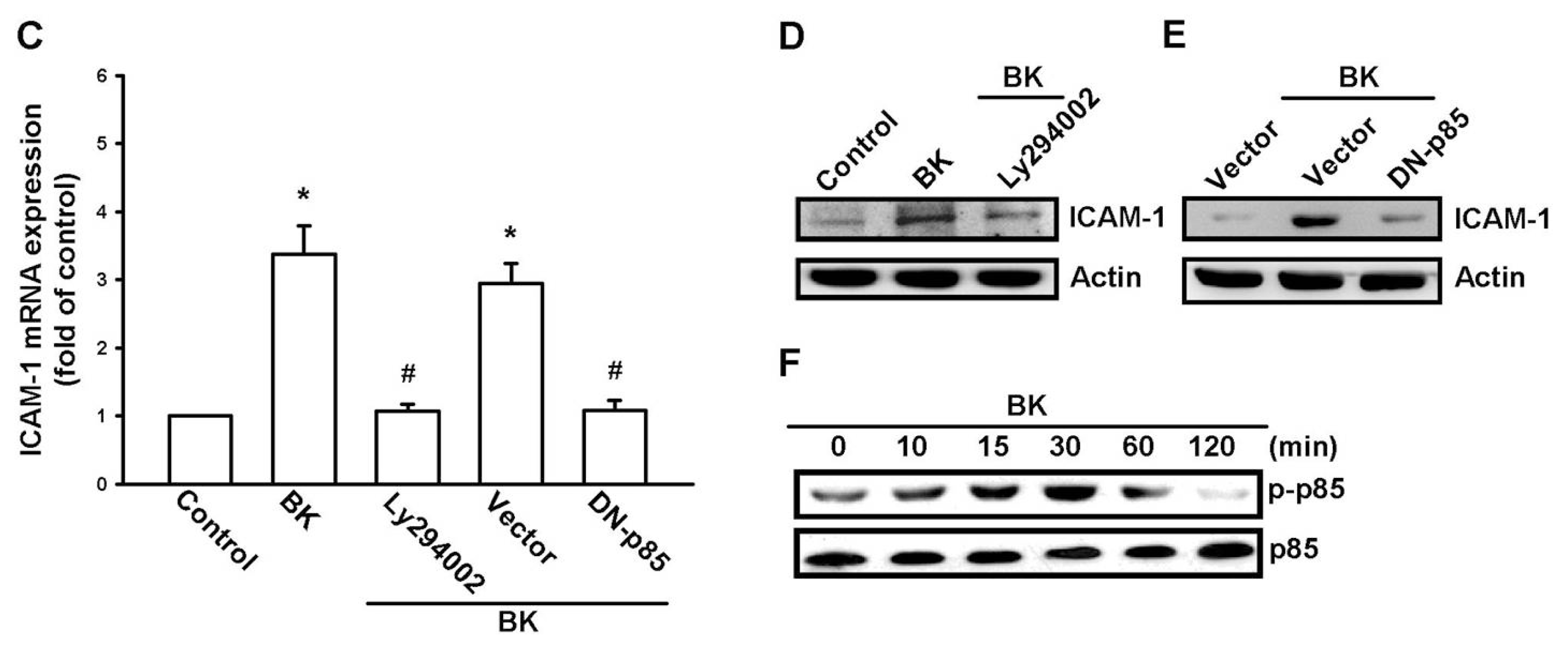 Ijms 14 13329f3b 1024