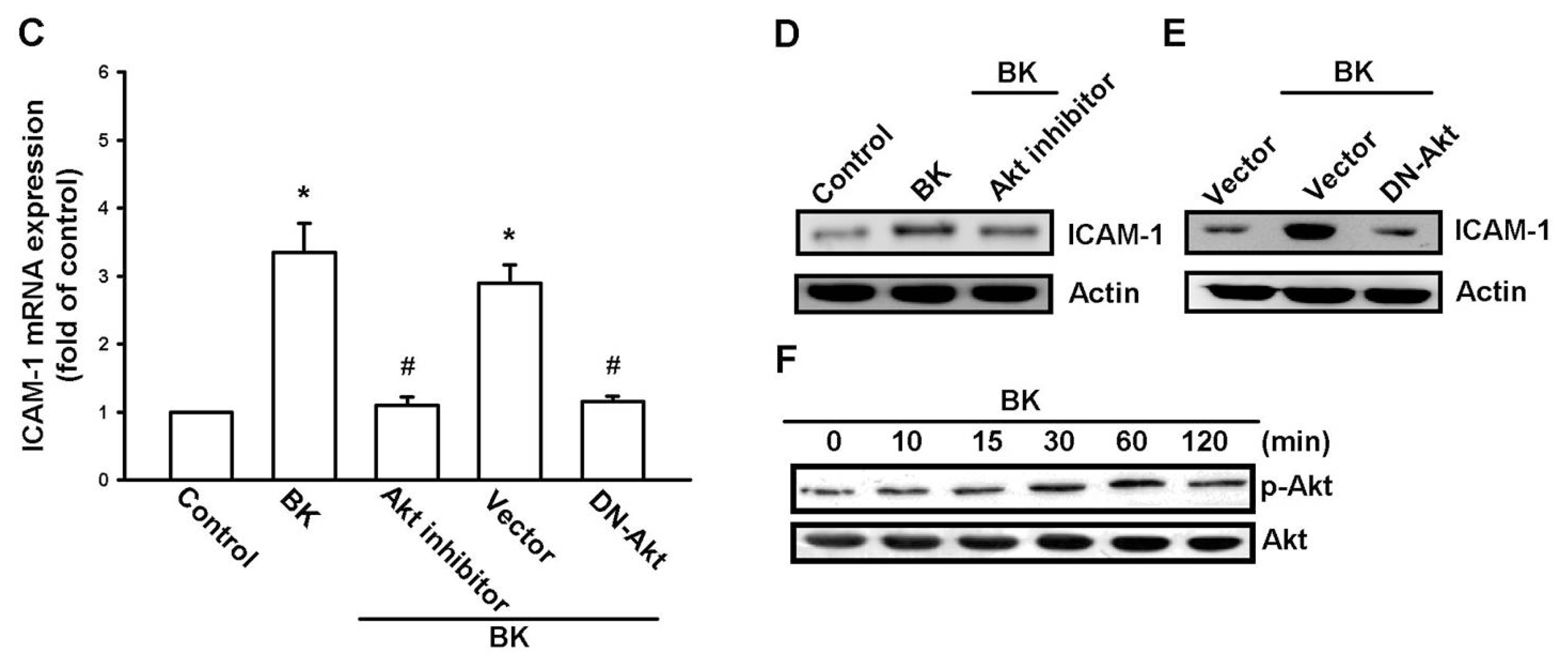 Ijms 14 13329f4b 1024