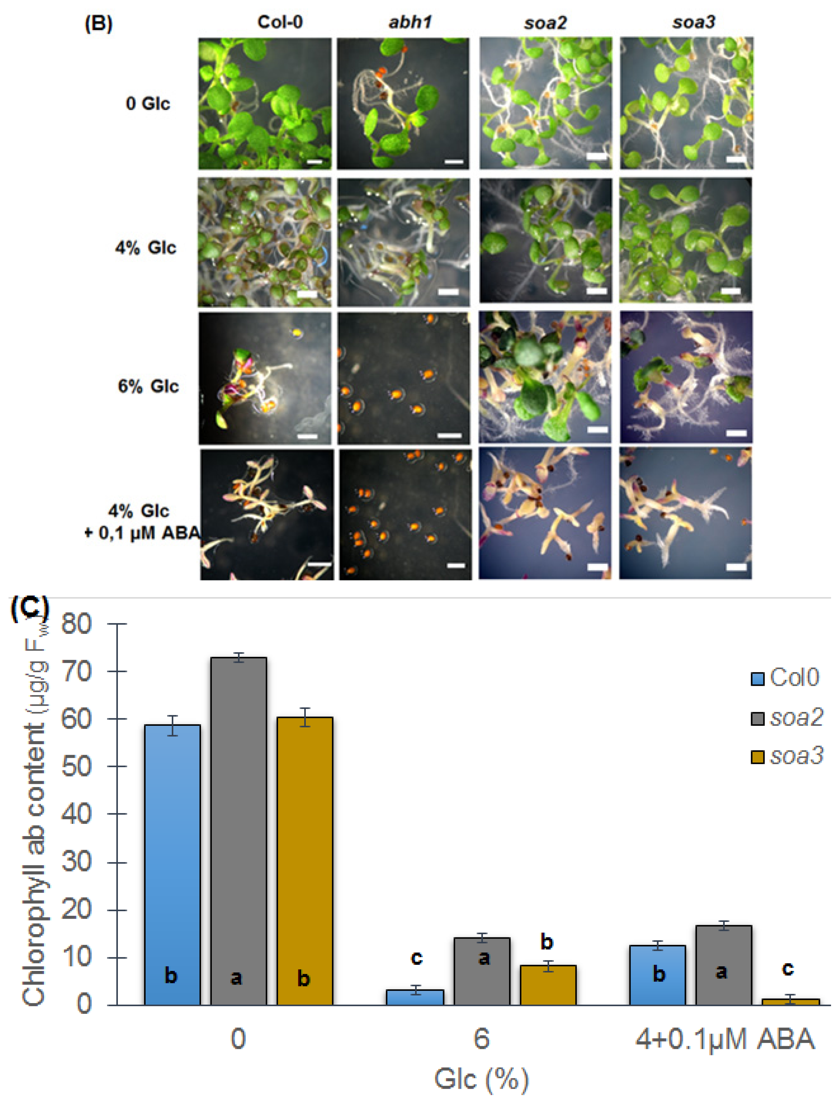 Ijms 14 13403f5b 1024