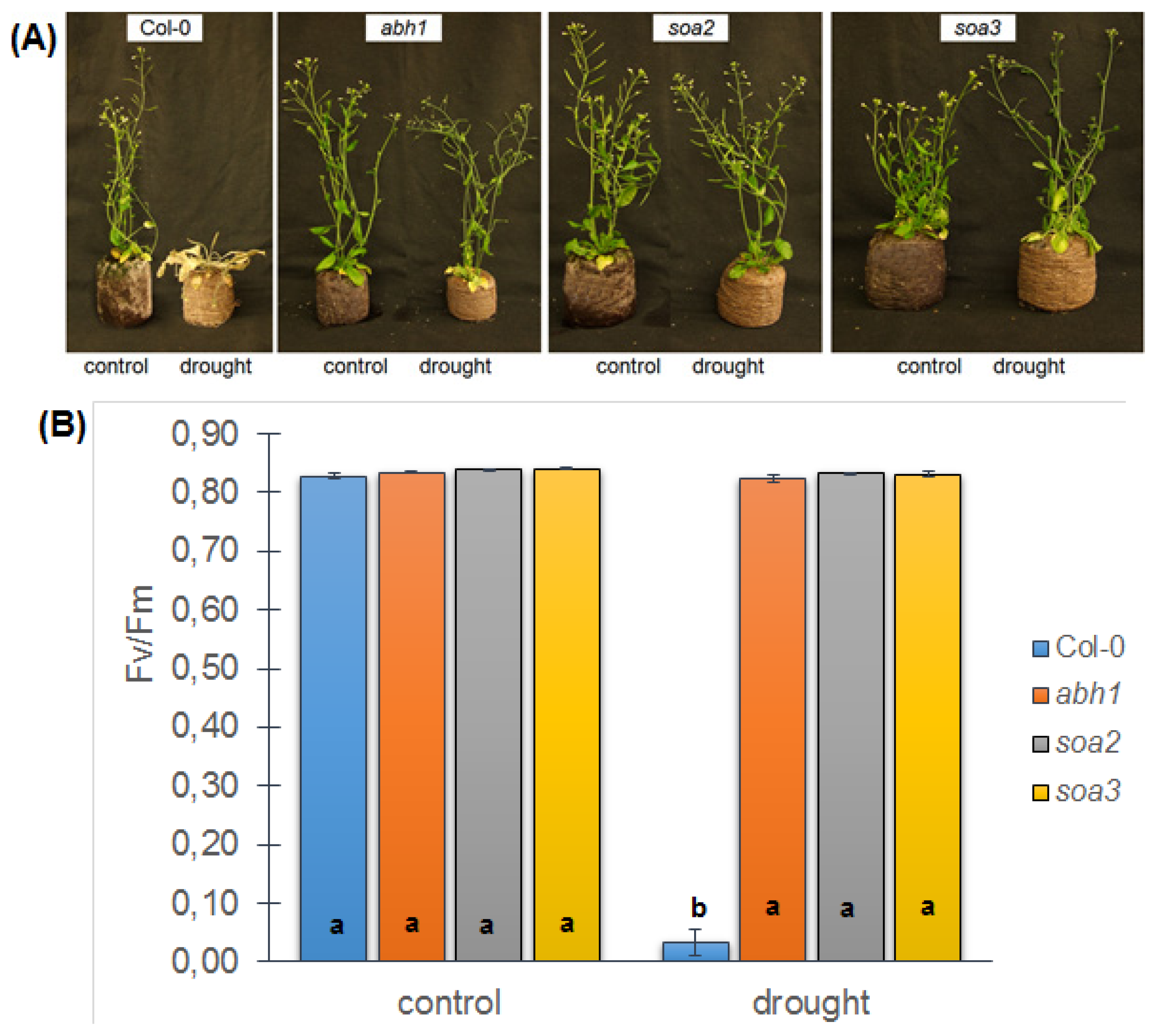 Ijms 14 13403f6a 1024