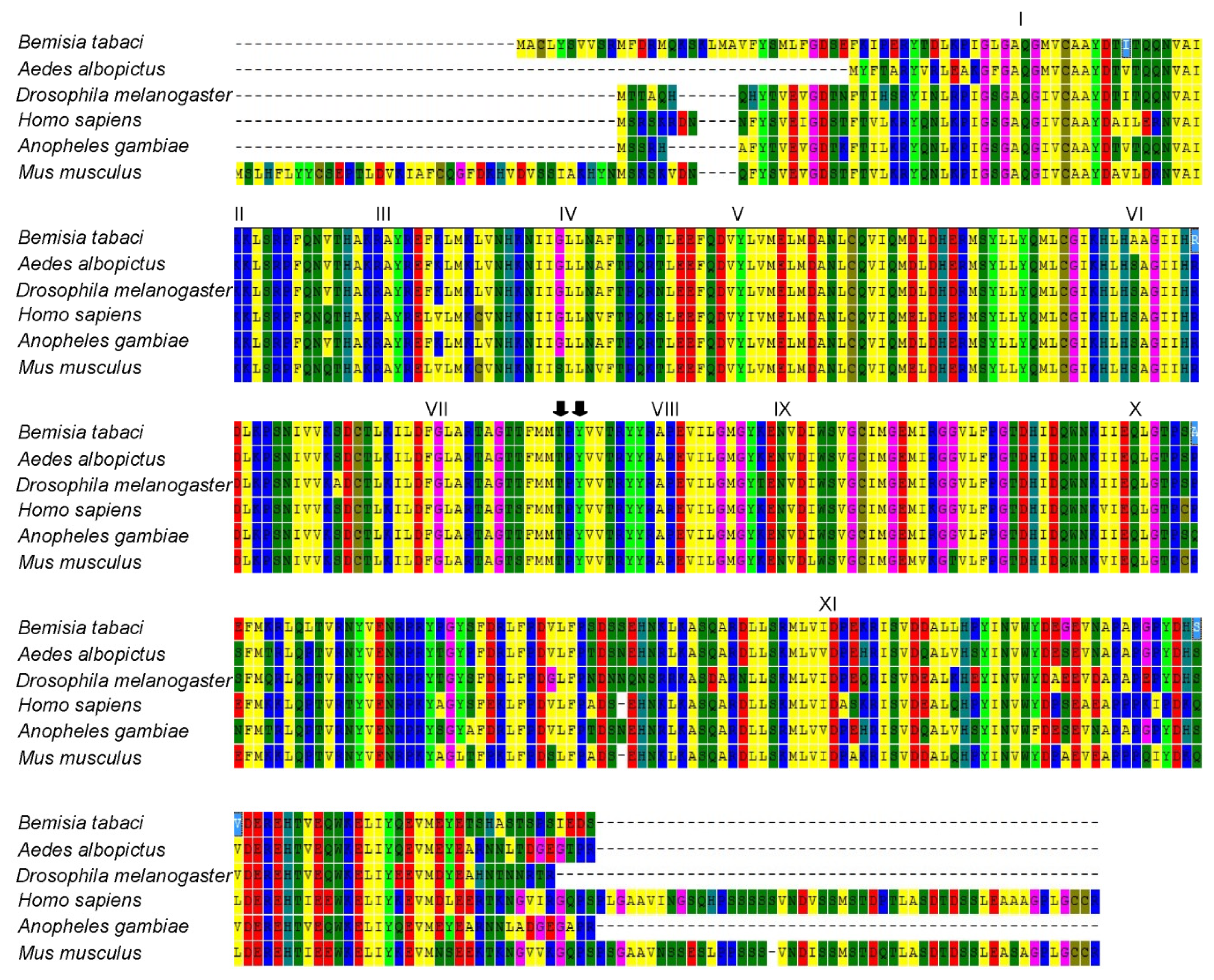 Ijms 14 13433f2 1024