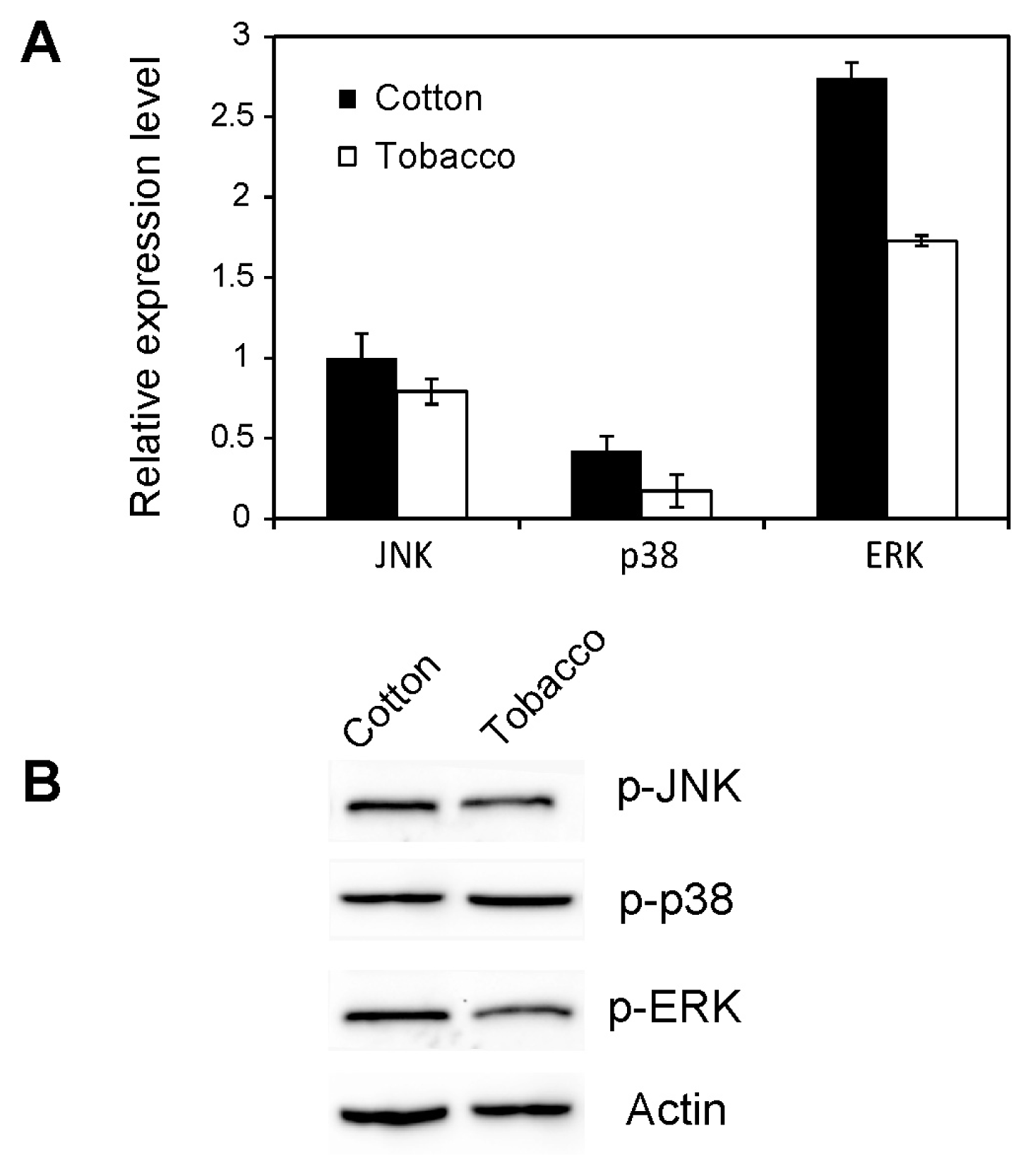 Ijms 14 13433f5 1024