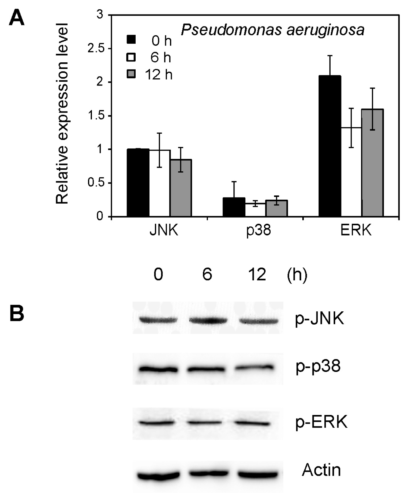 Ijms 14 13433f6 1024