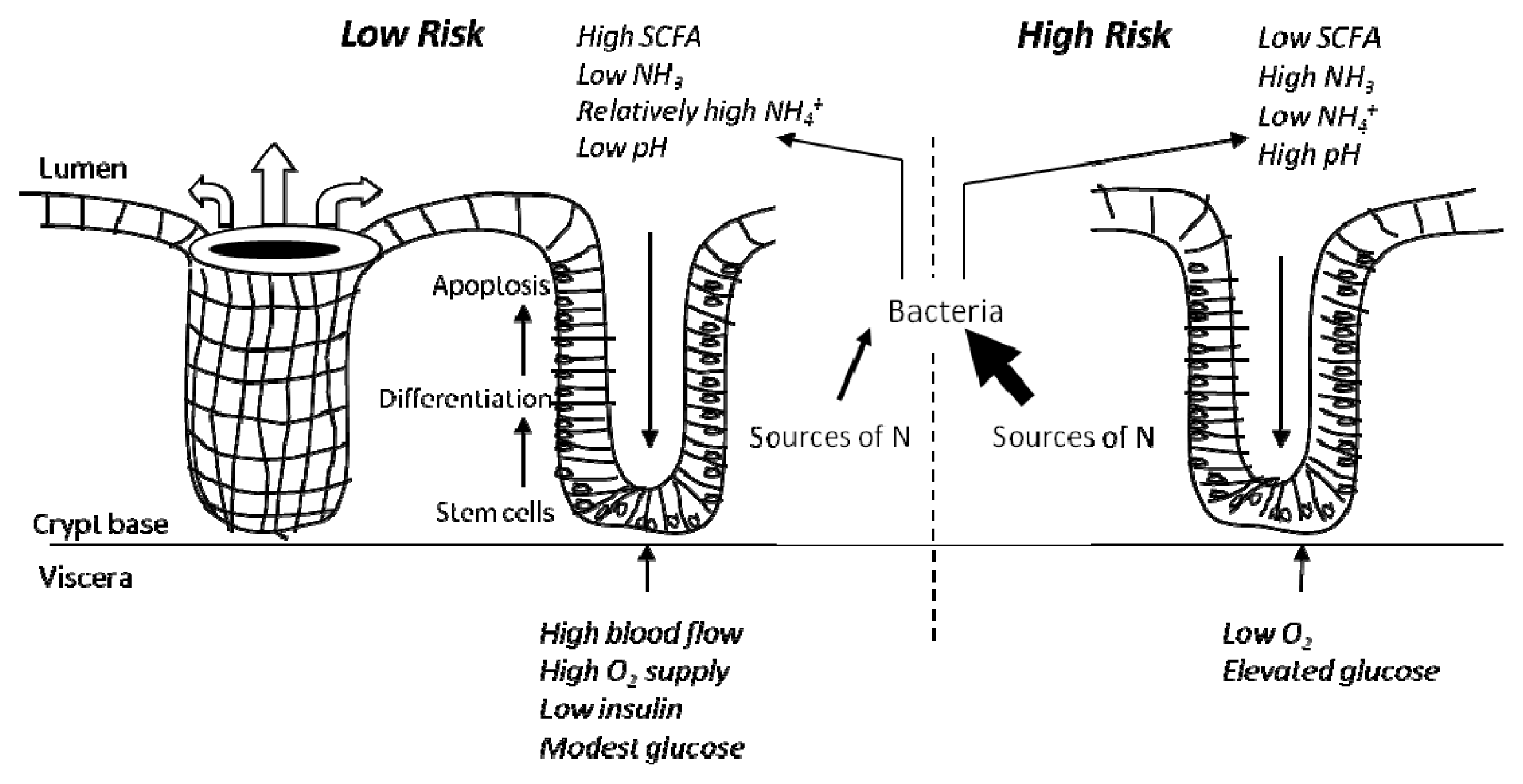 Ijms 14 13525f1 1024