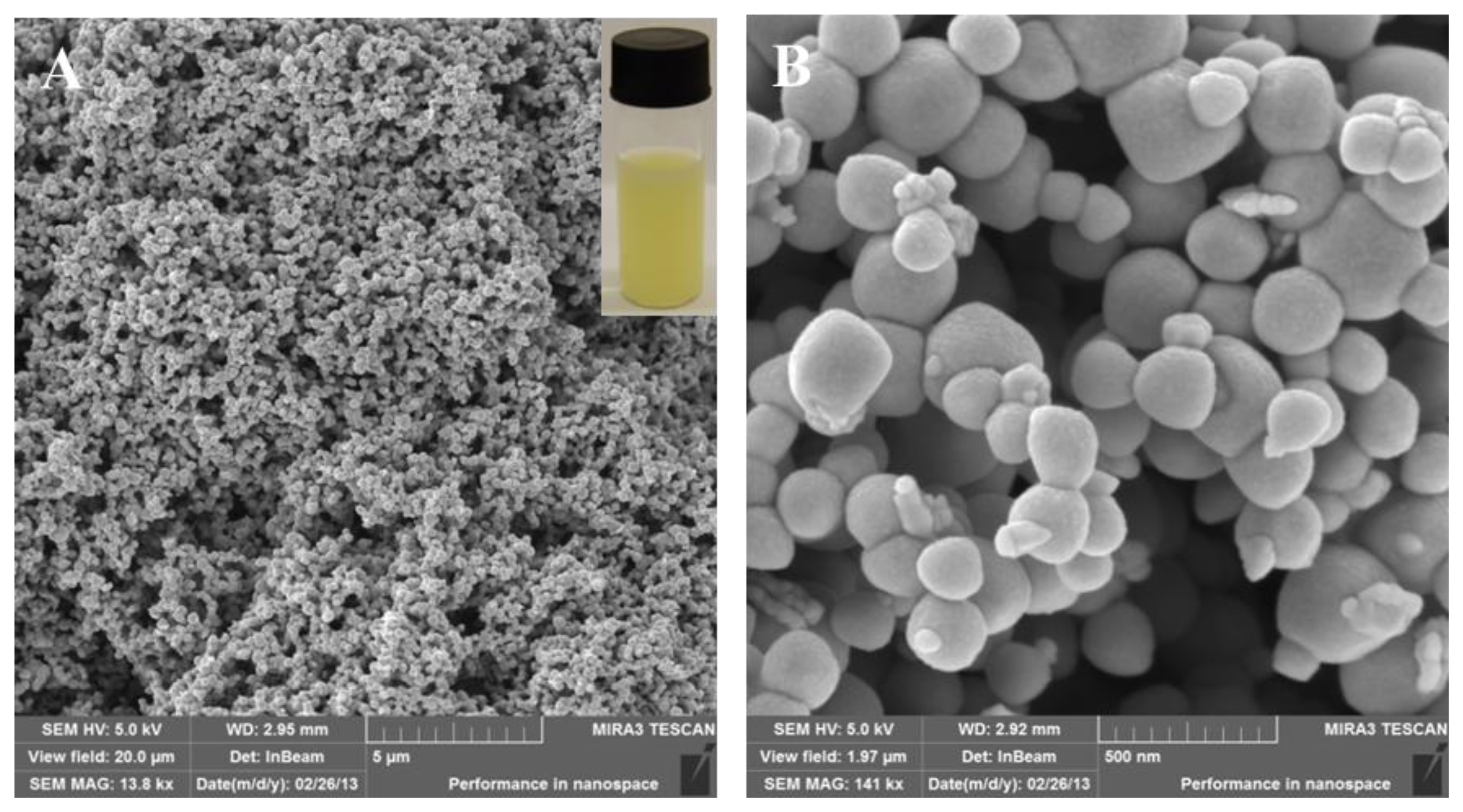 Ijms 14 13592f2 1024