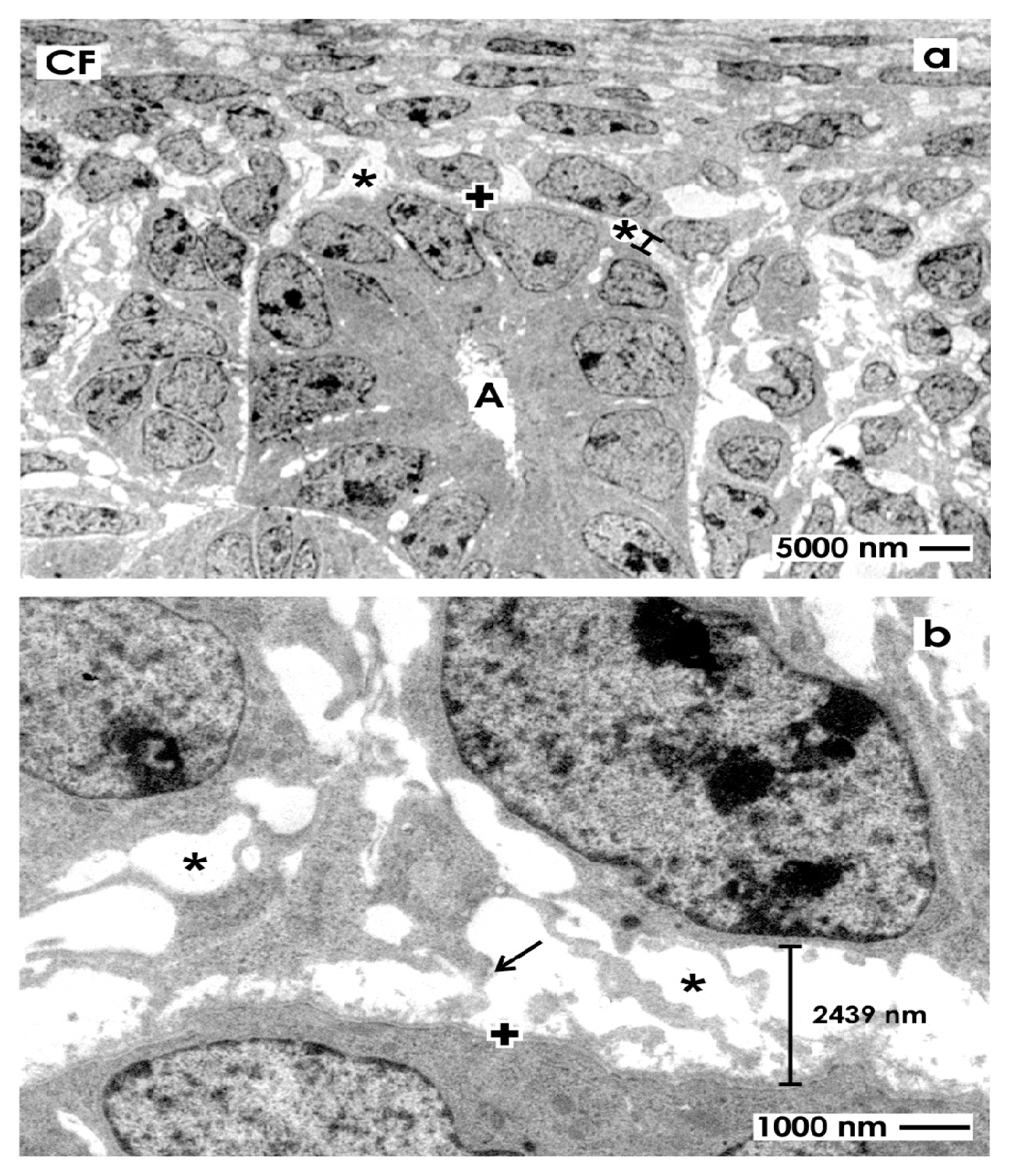 Ijms 14 13657f2 1024