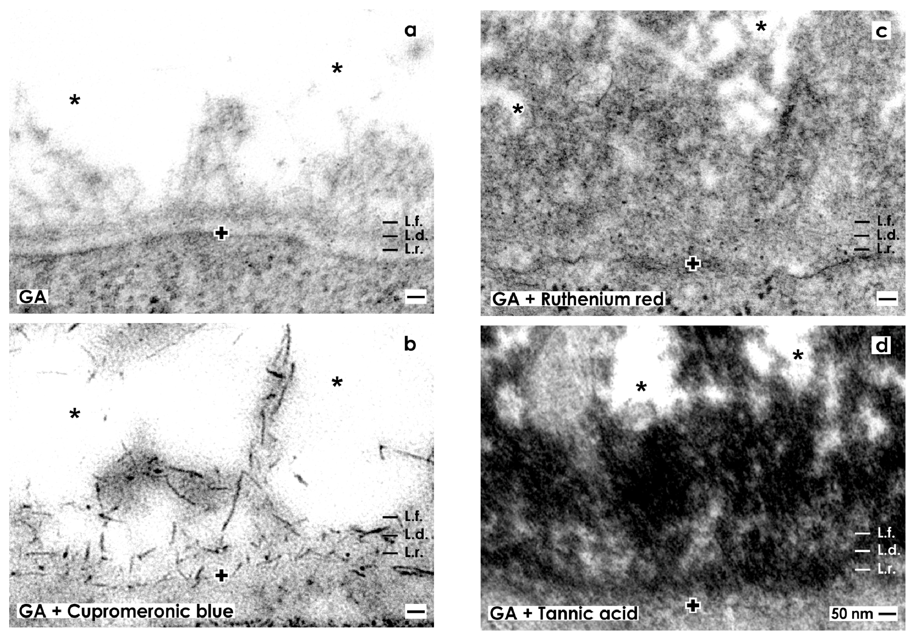 Ijms 14 13657f3 1024