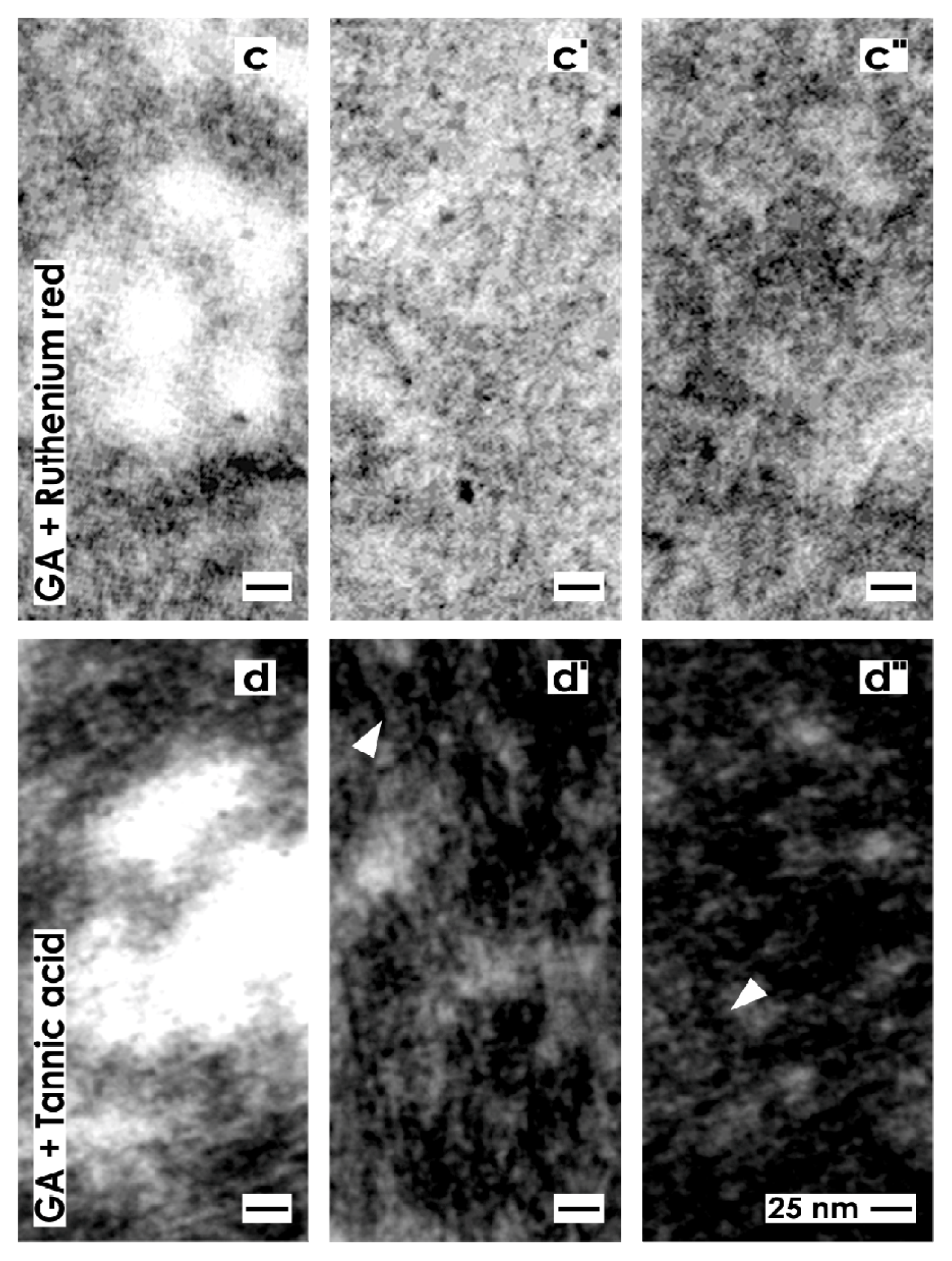 Ijms 14 13657f4b 1024