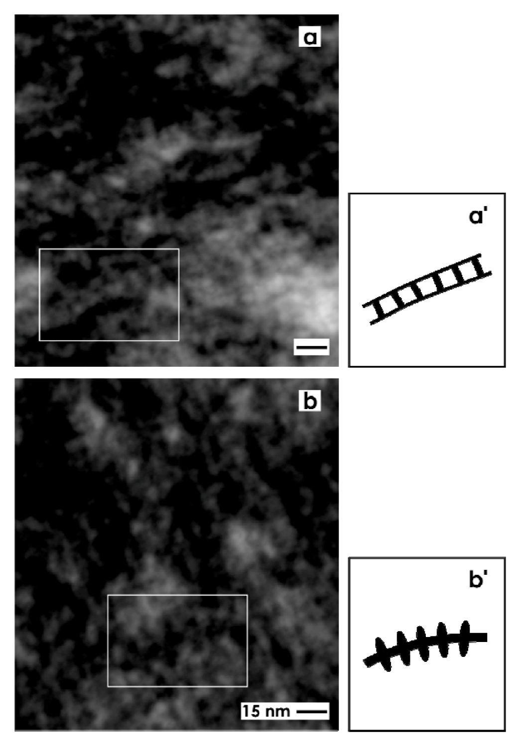 Ijms 14 13657f5 1024