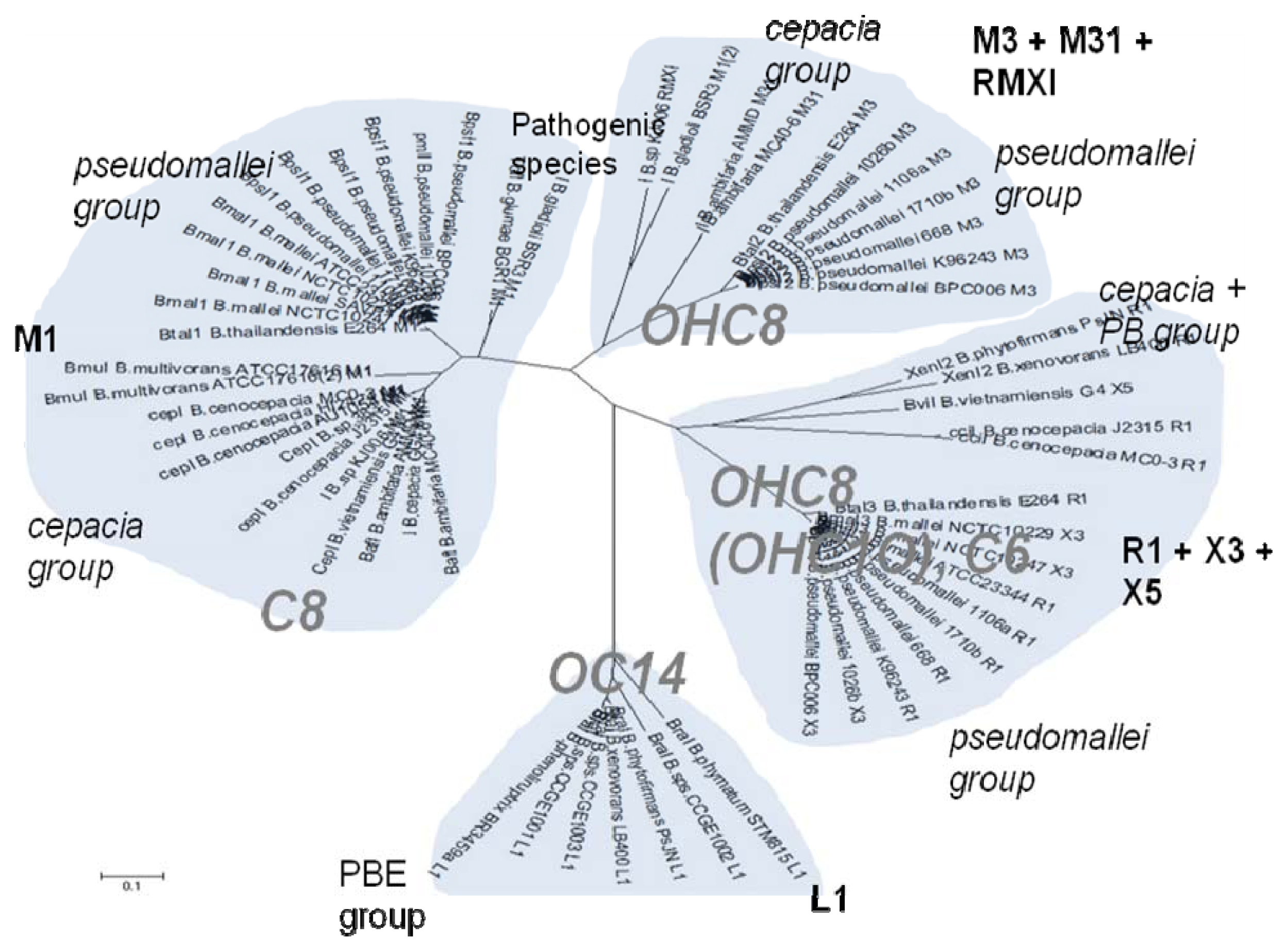 Ijms 14 13727f1 1024