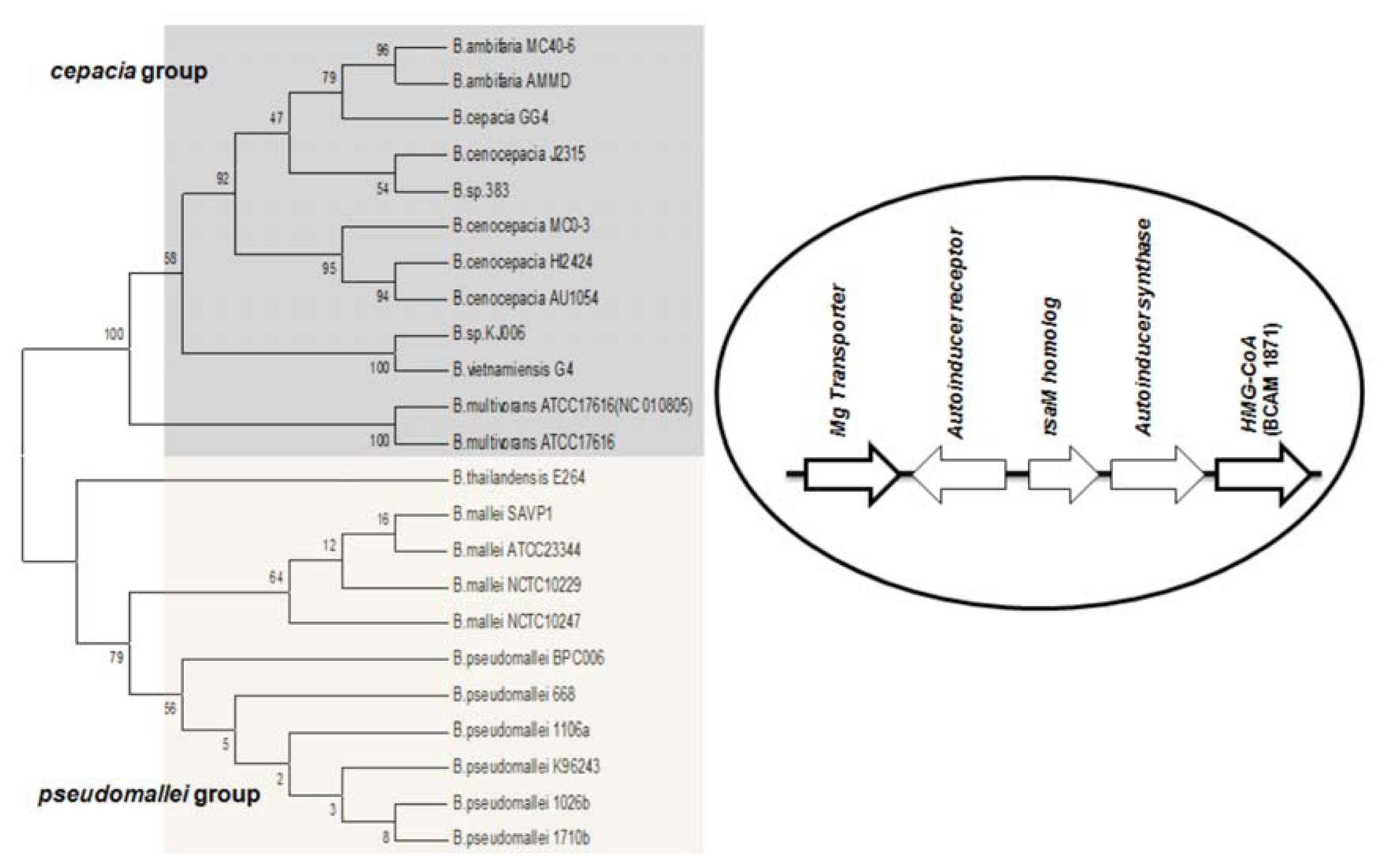 Ijms 14 13727f3 1024