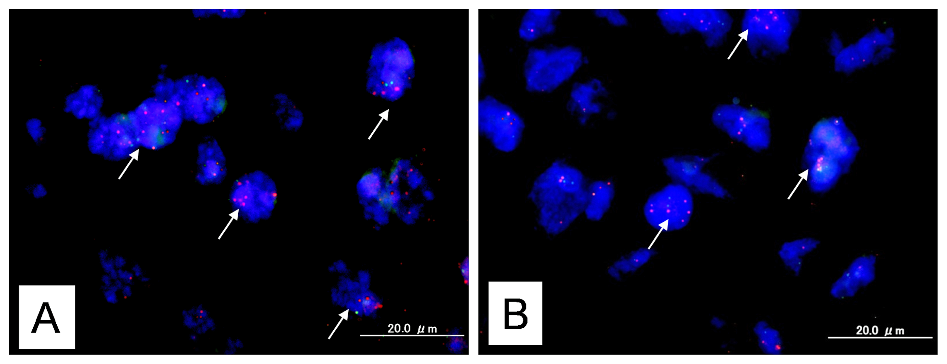 Ijms 14 13748f1a 1024