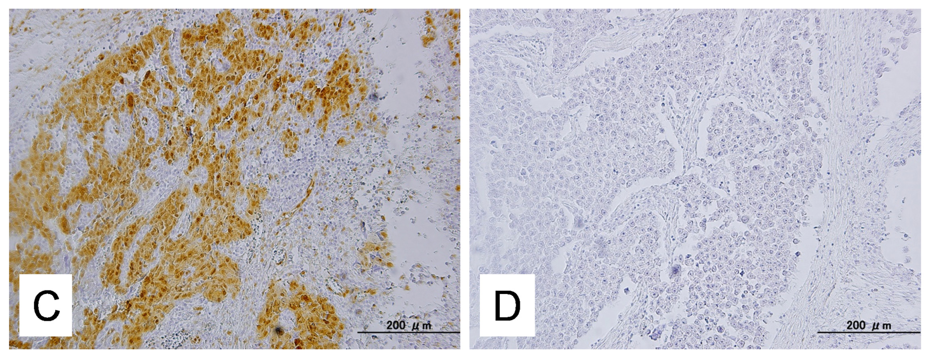 Ijms 14 13748f1b 1024