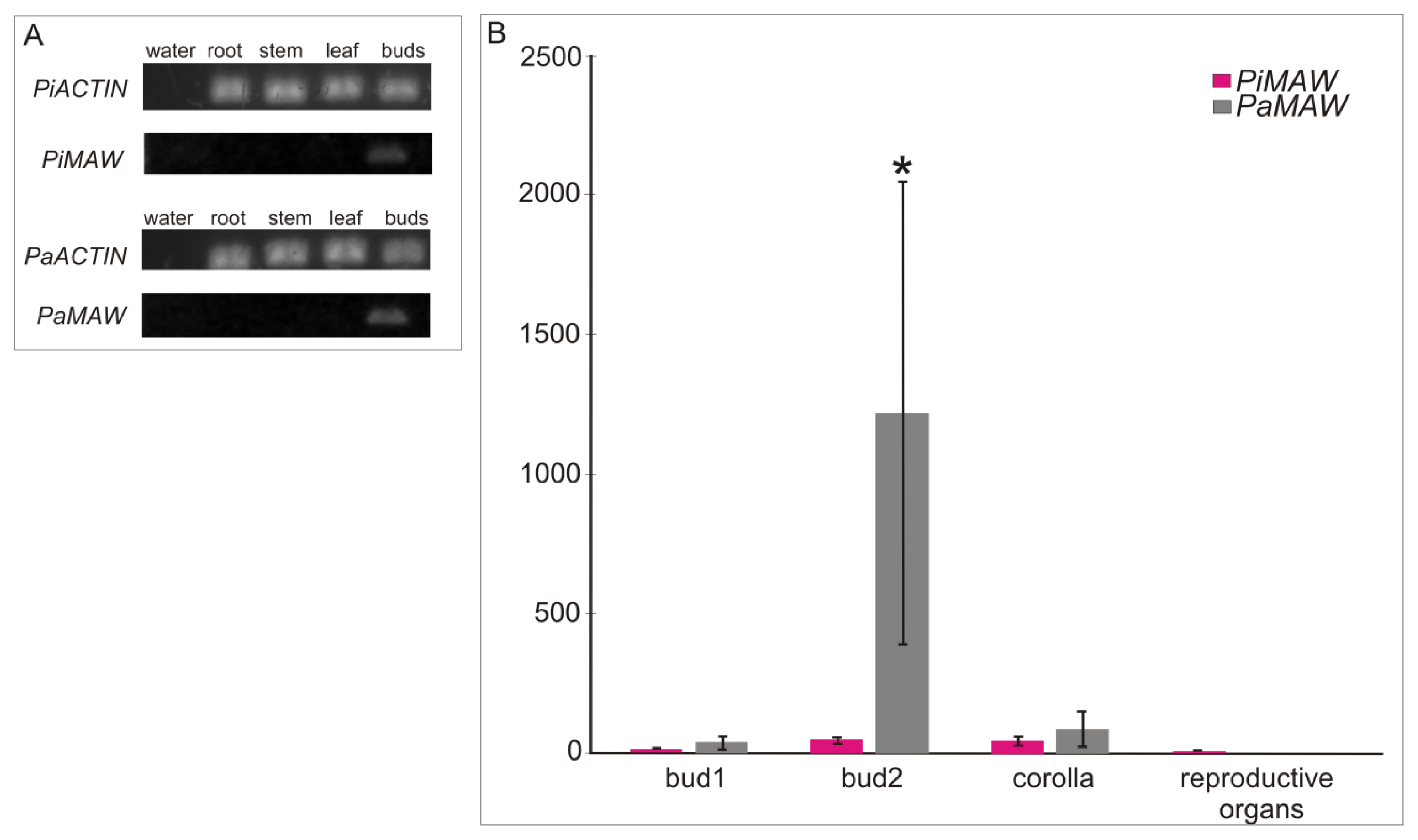 Ijms 14 13796f3 1024