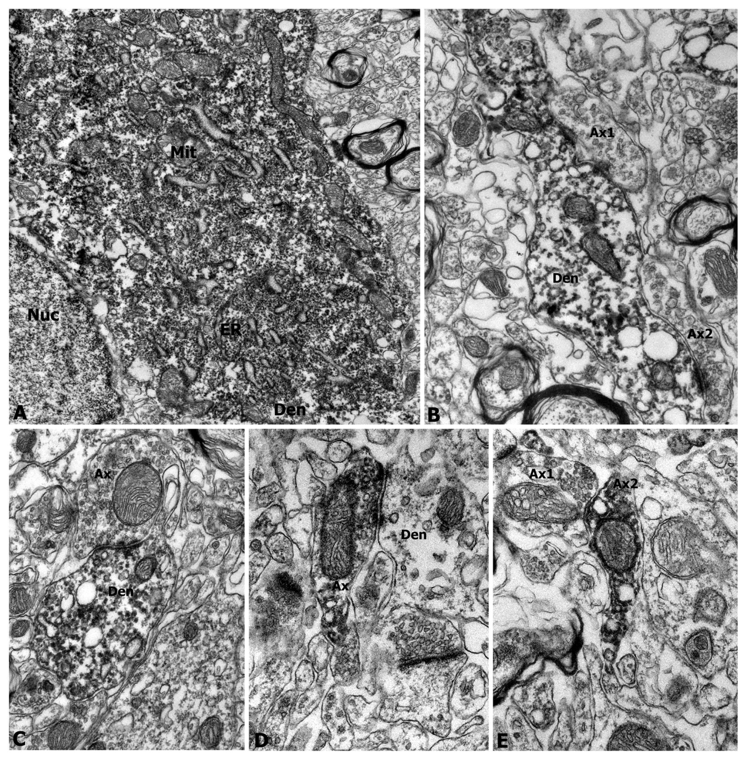 Ijms 14 14085f2 1024