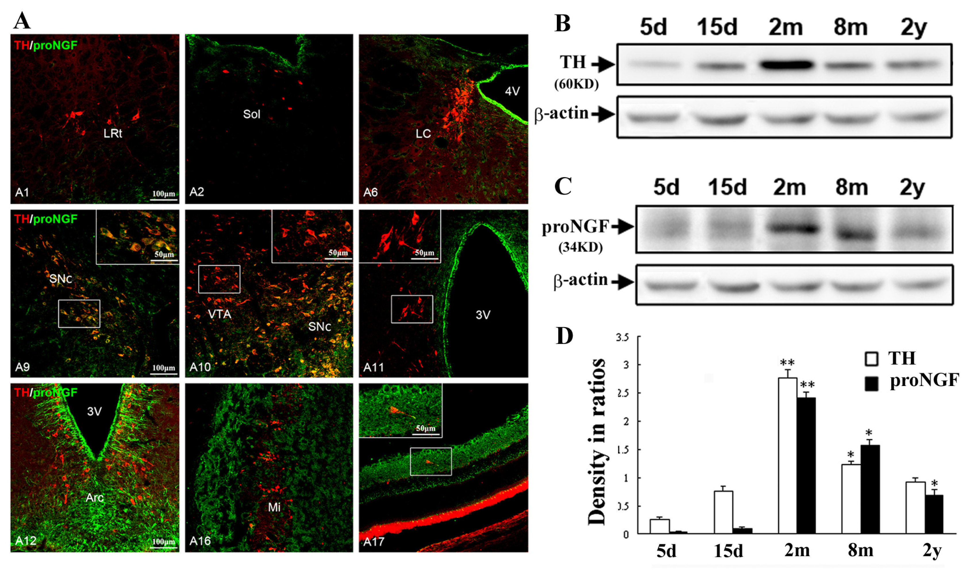 Ijms 14 14085f4 1024