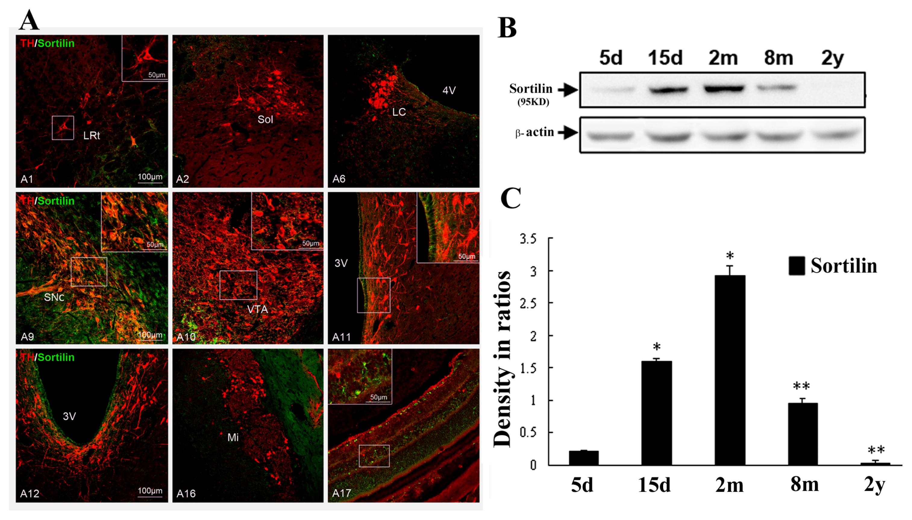 Ijms 14 14085f5 1024