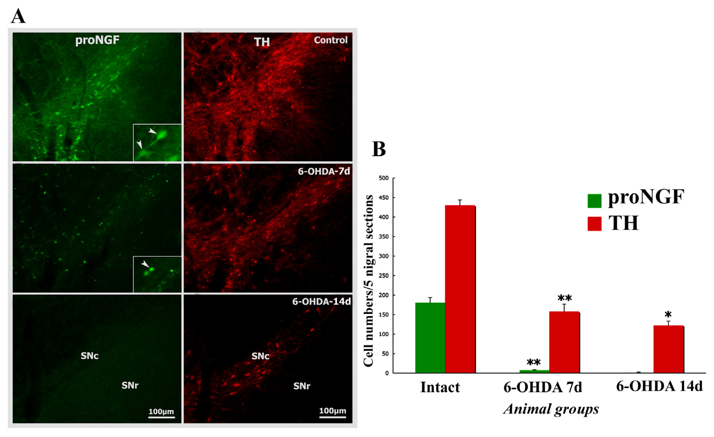 Ijms 14 14085f7 1024