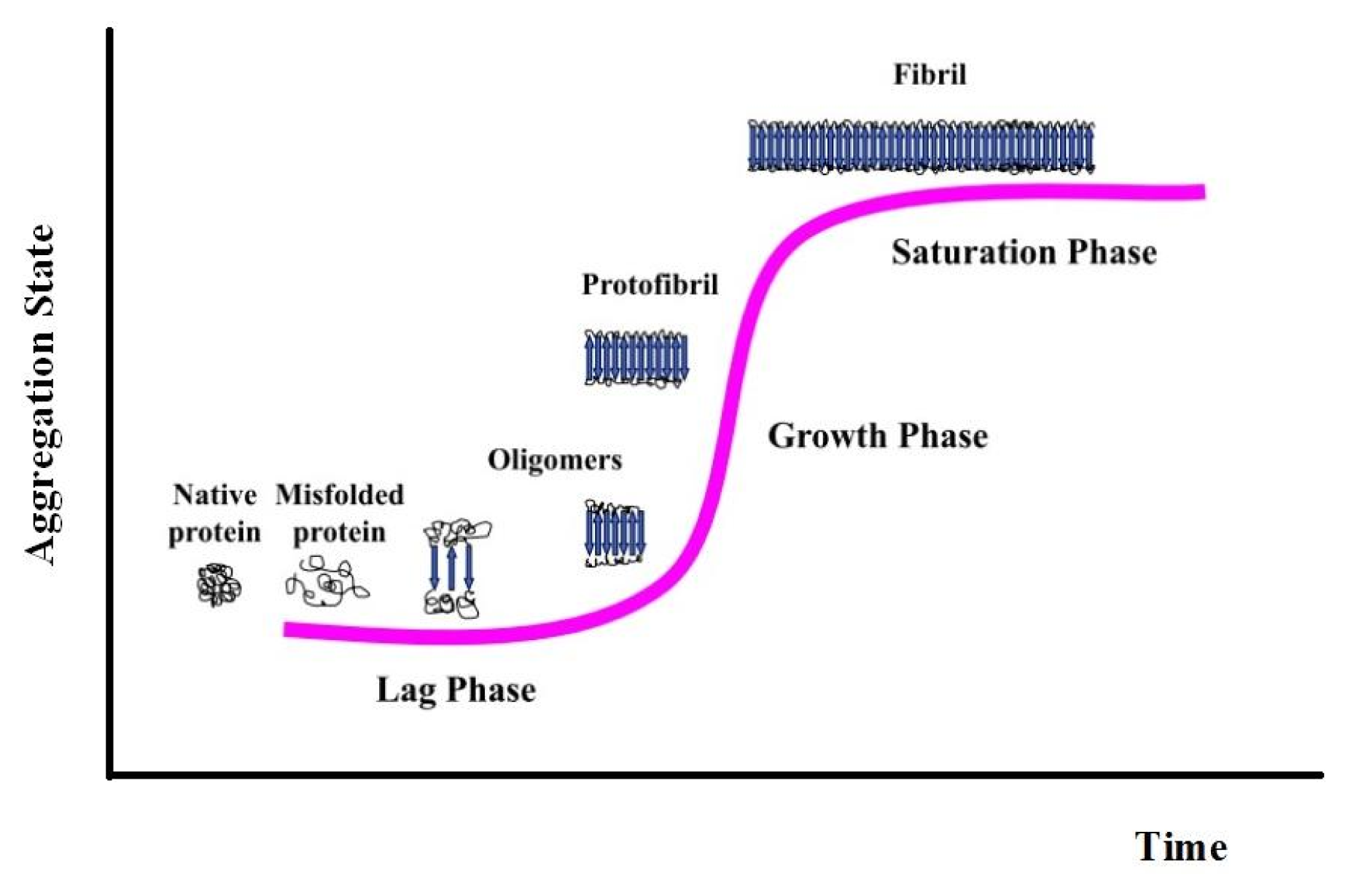 Ijms 14 14287f2 1024