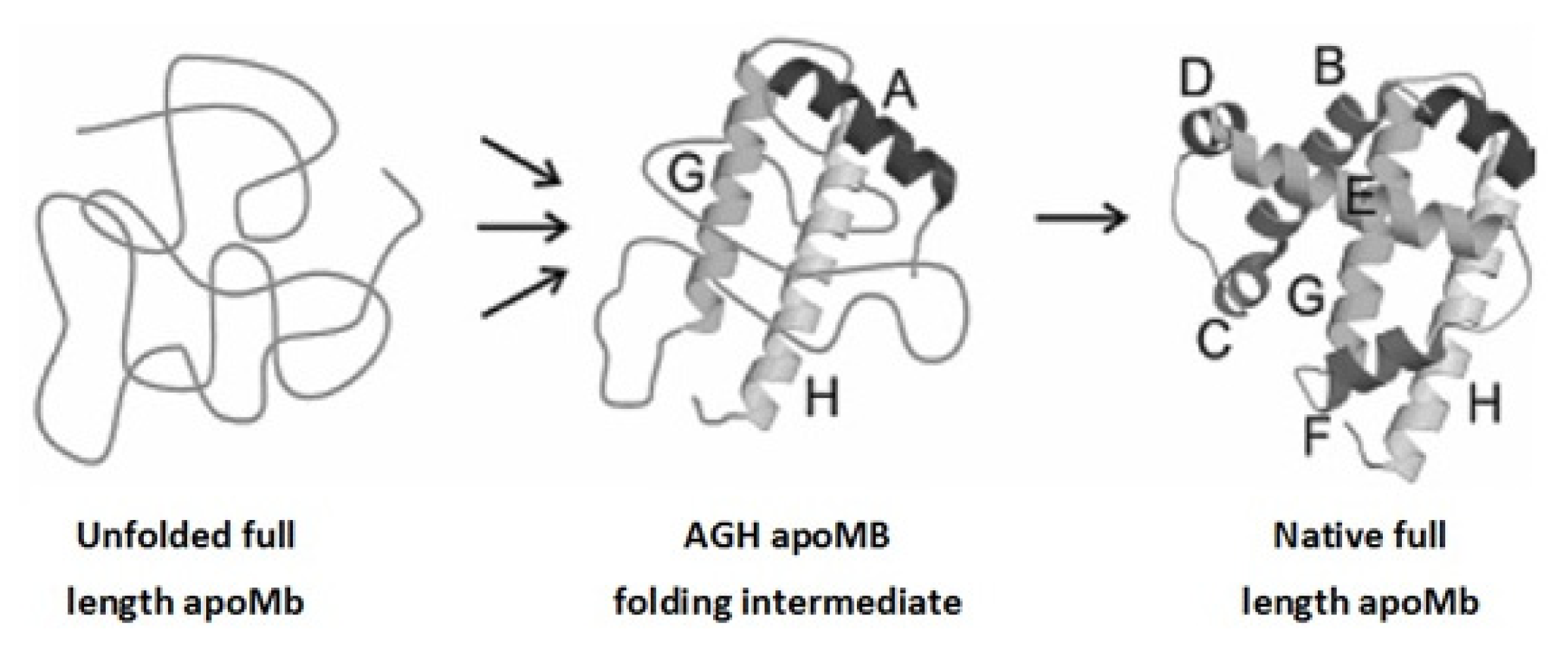 Ijms 14 14287f3 1024