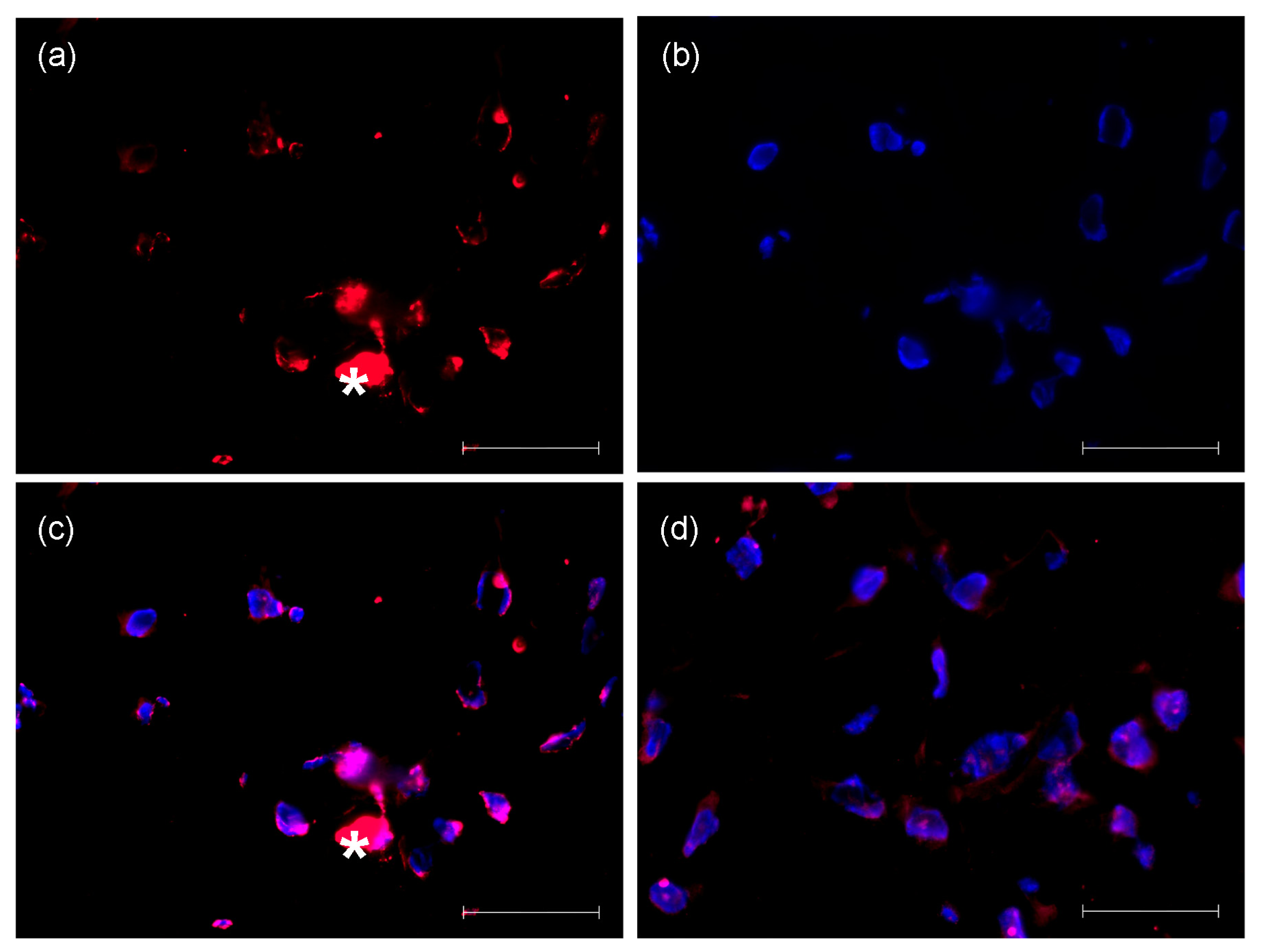 Ijms 14 14460f4 1024