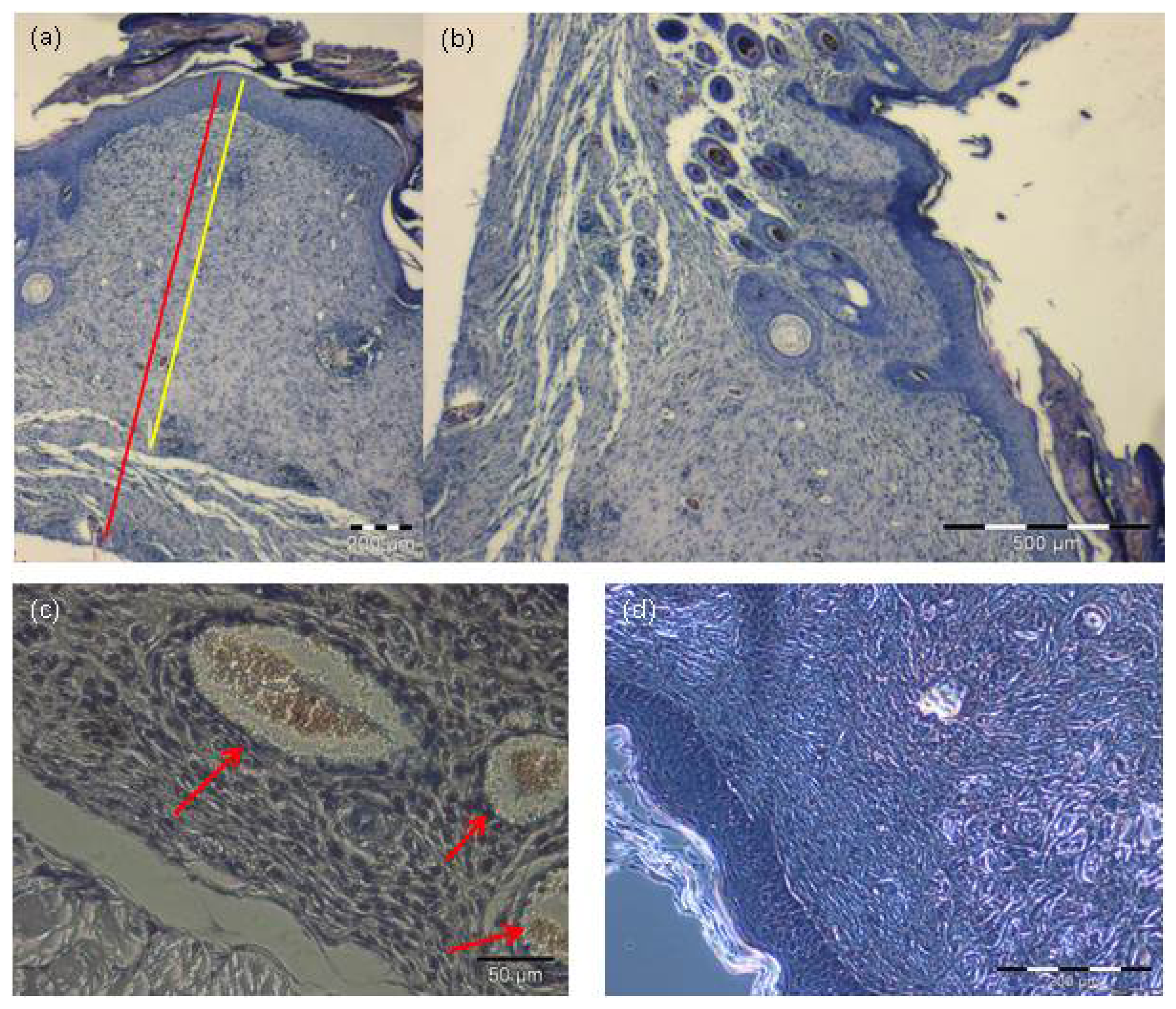 Ijms 14 14460f6 1024