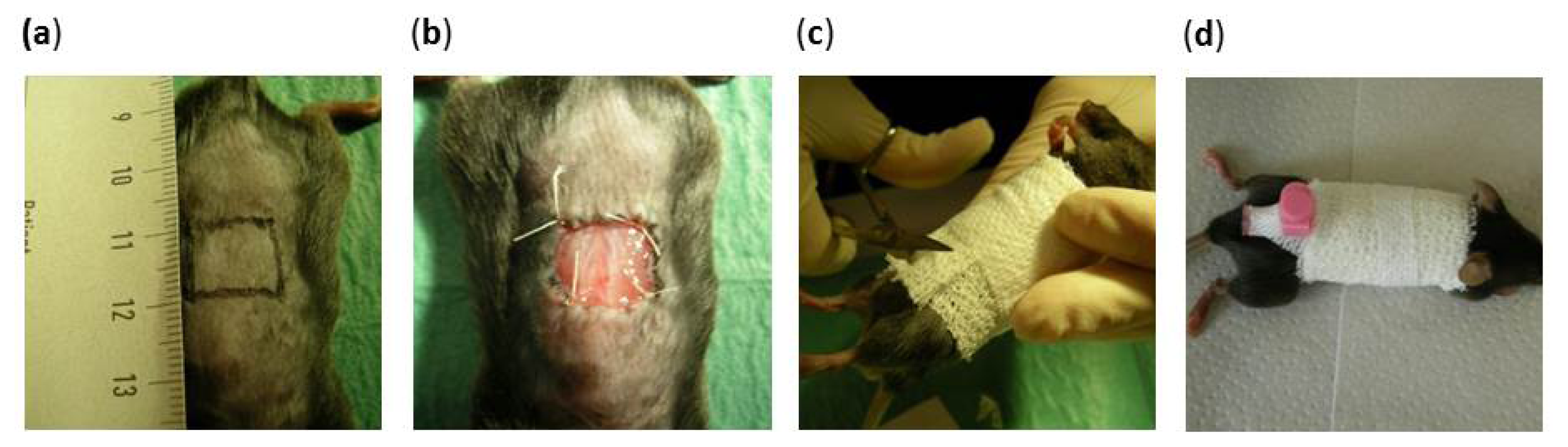 Ijms 14 14460f9 1024