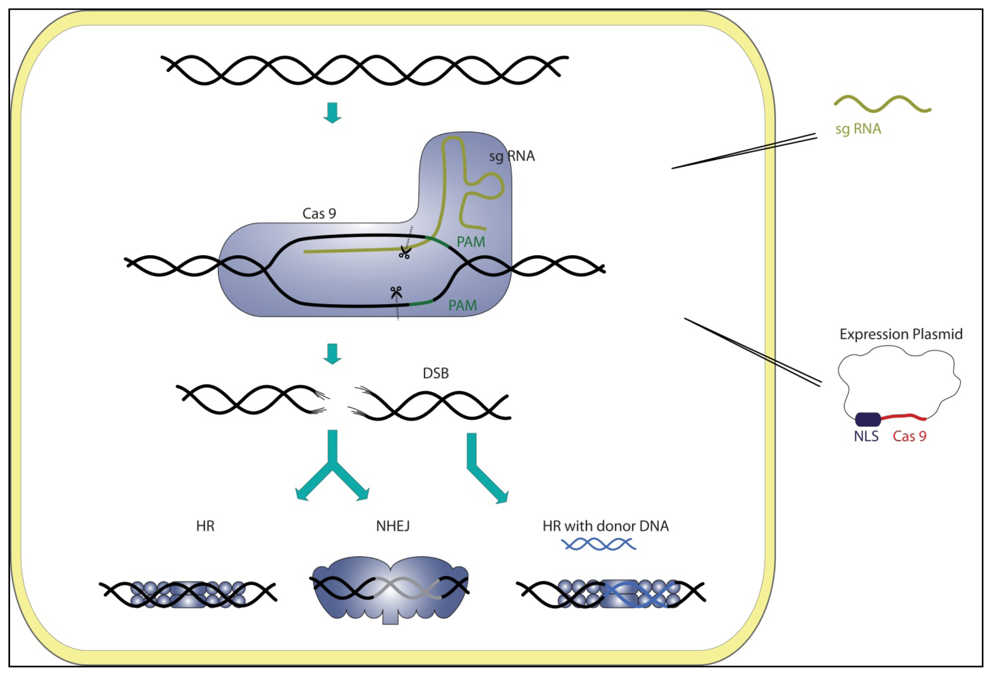 Ijms 14 14518f2 1024