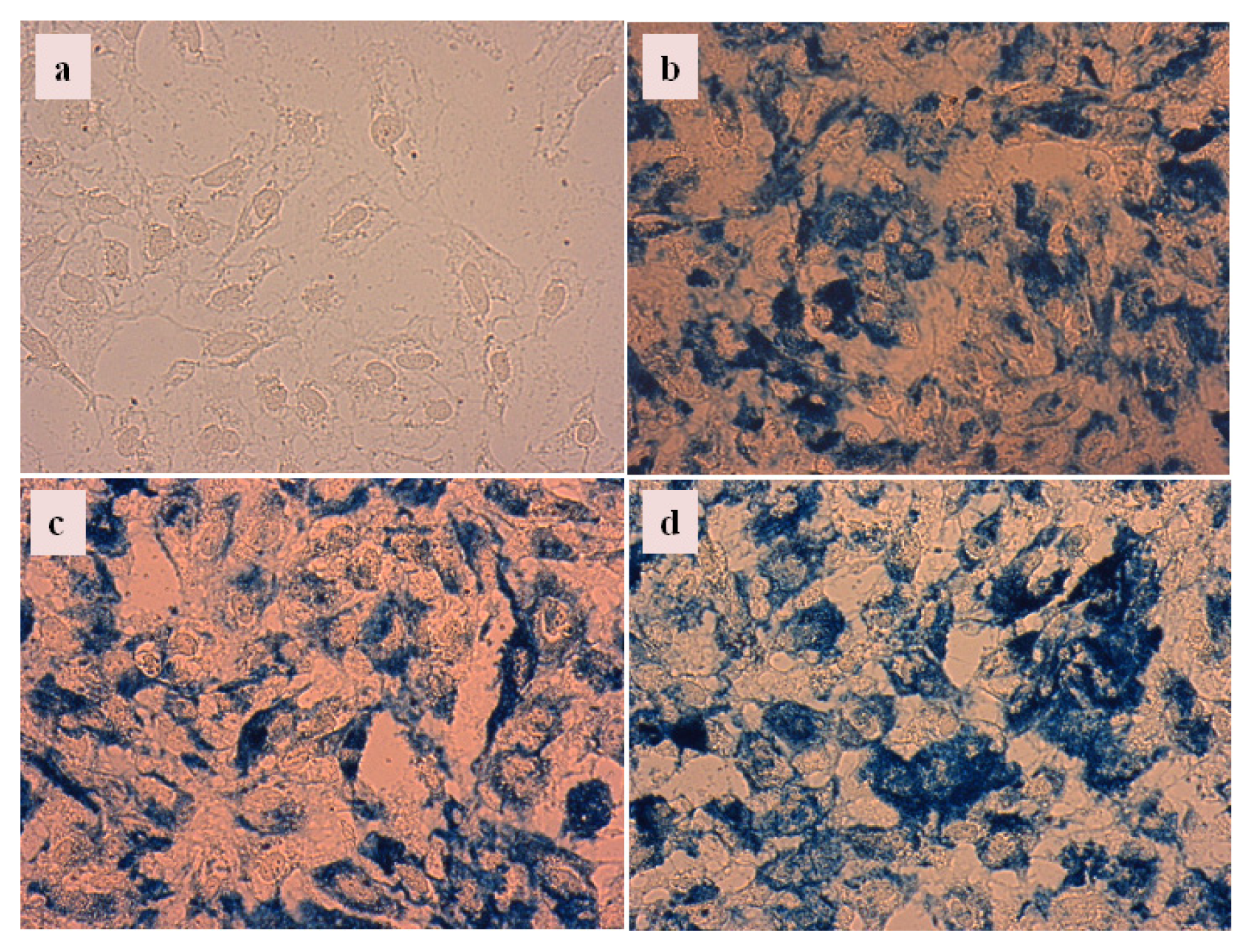 Ijms 14 14550f10 1024