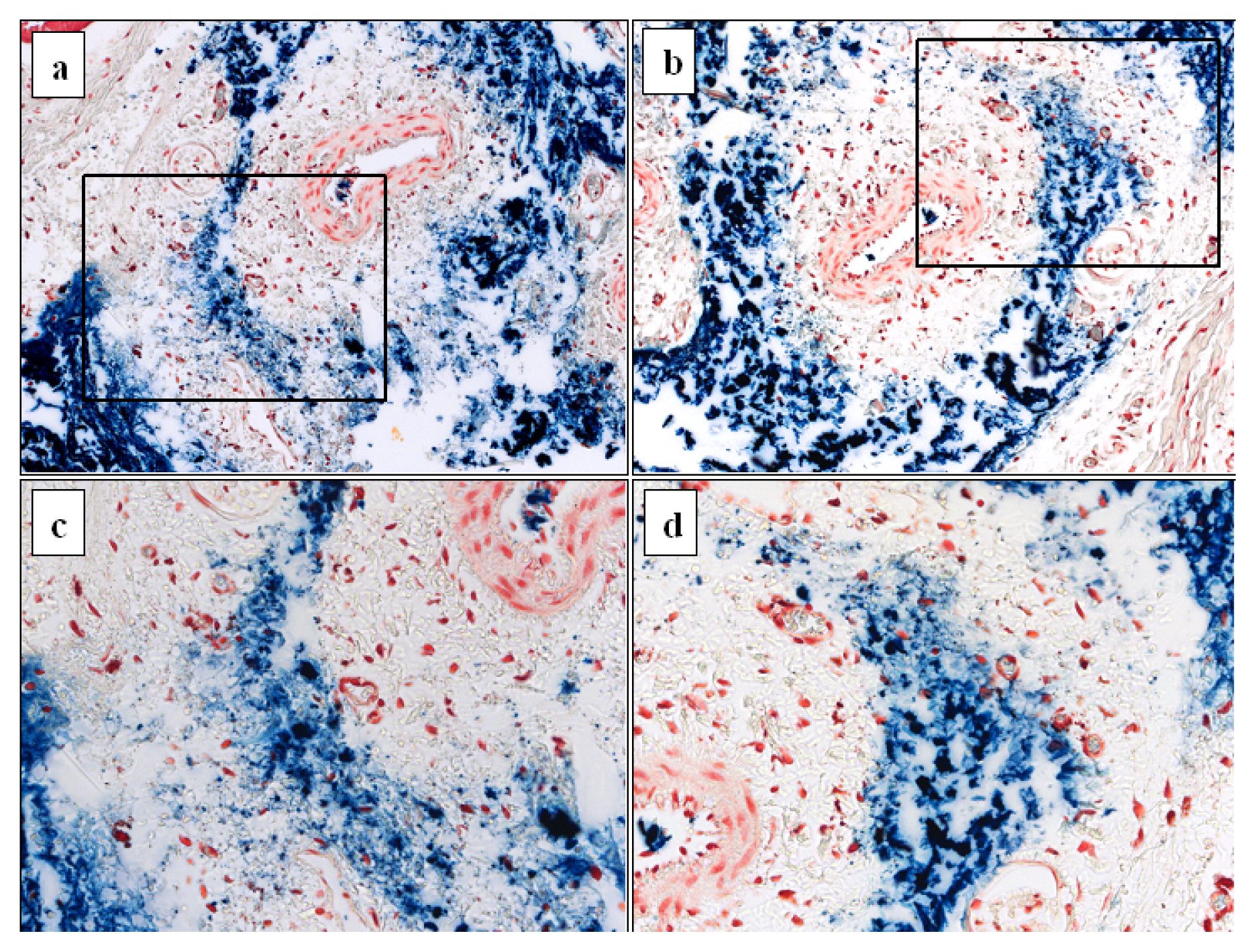 Ijms 14 14550f11 1024