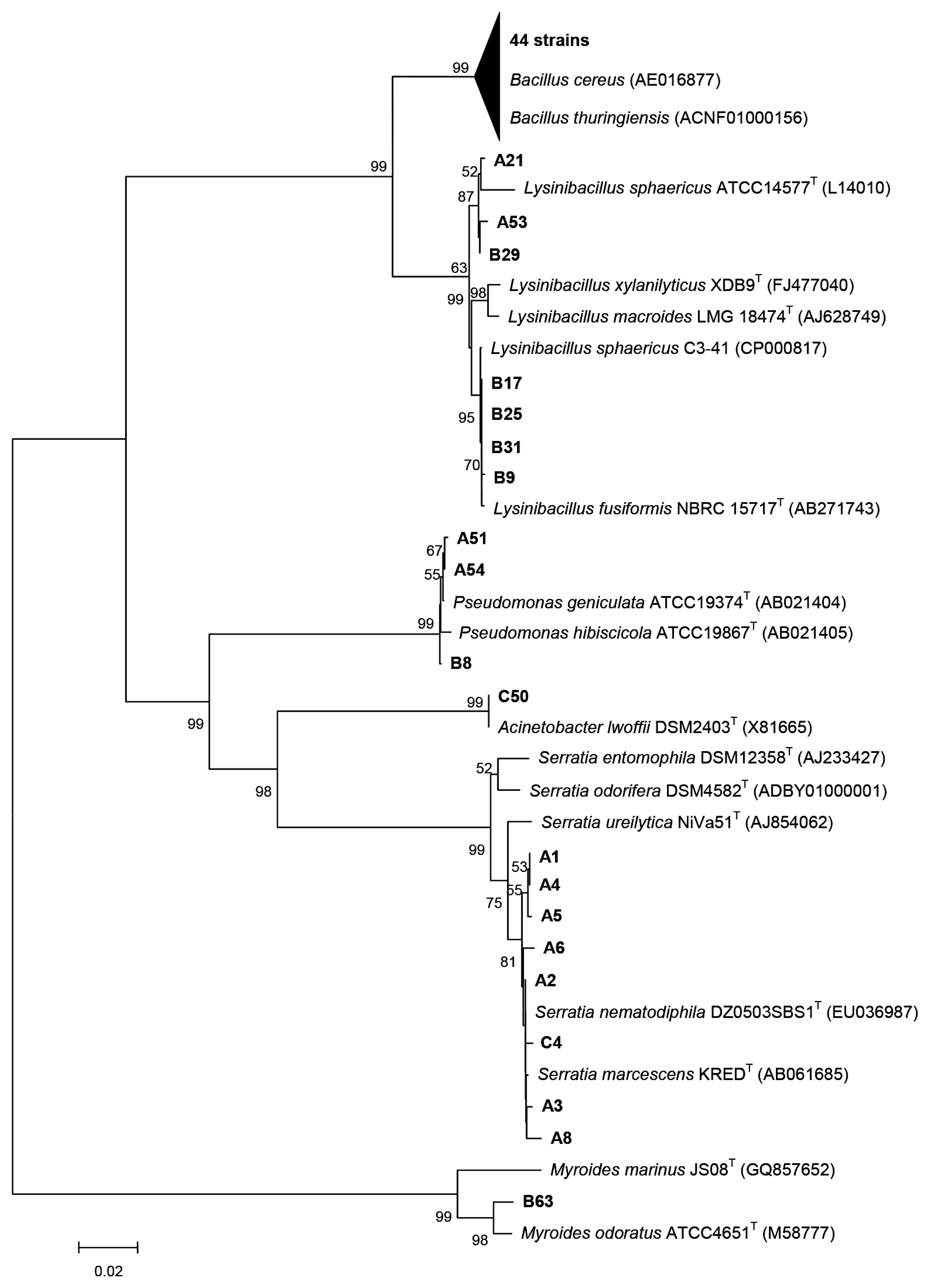 Ijms 14 14607f3 1024