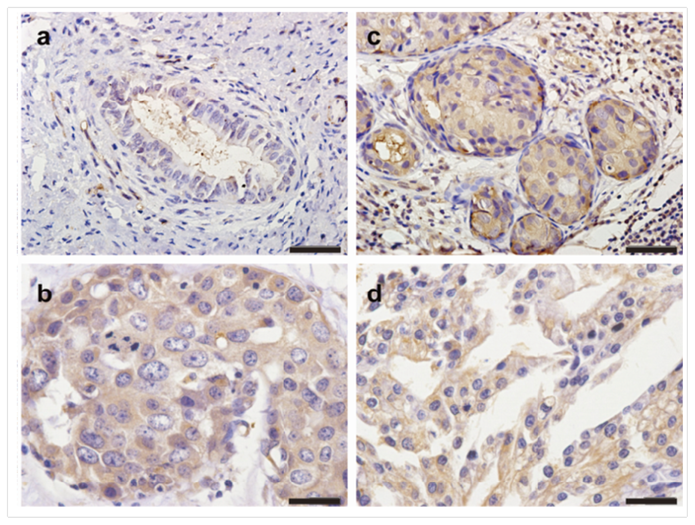 Ijms 14 14659f1 1024