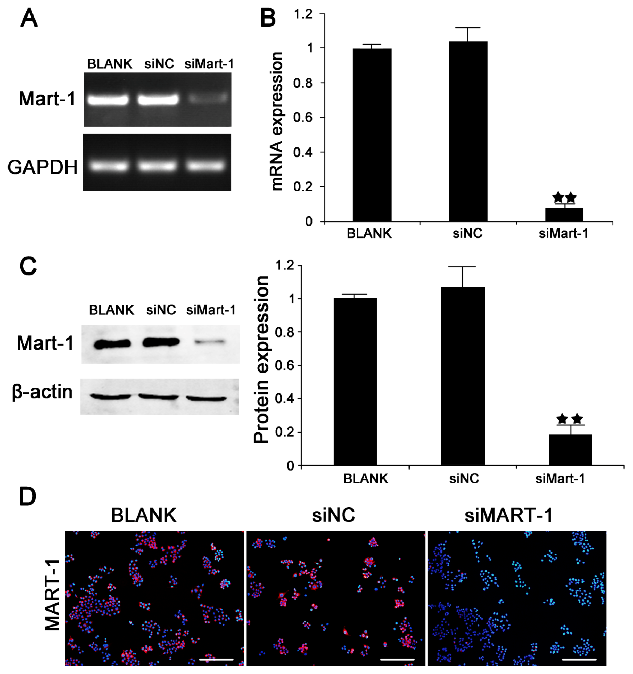 Ijms 14 15092f1 1024