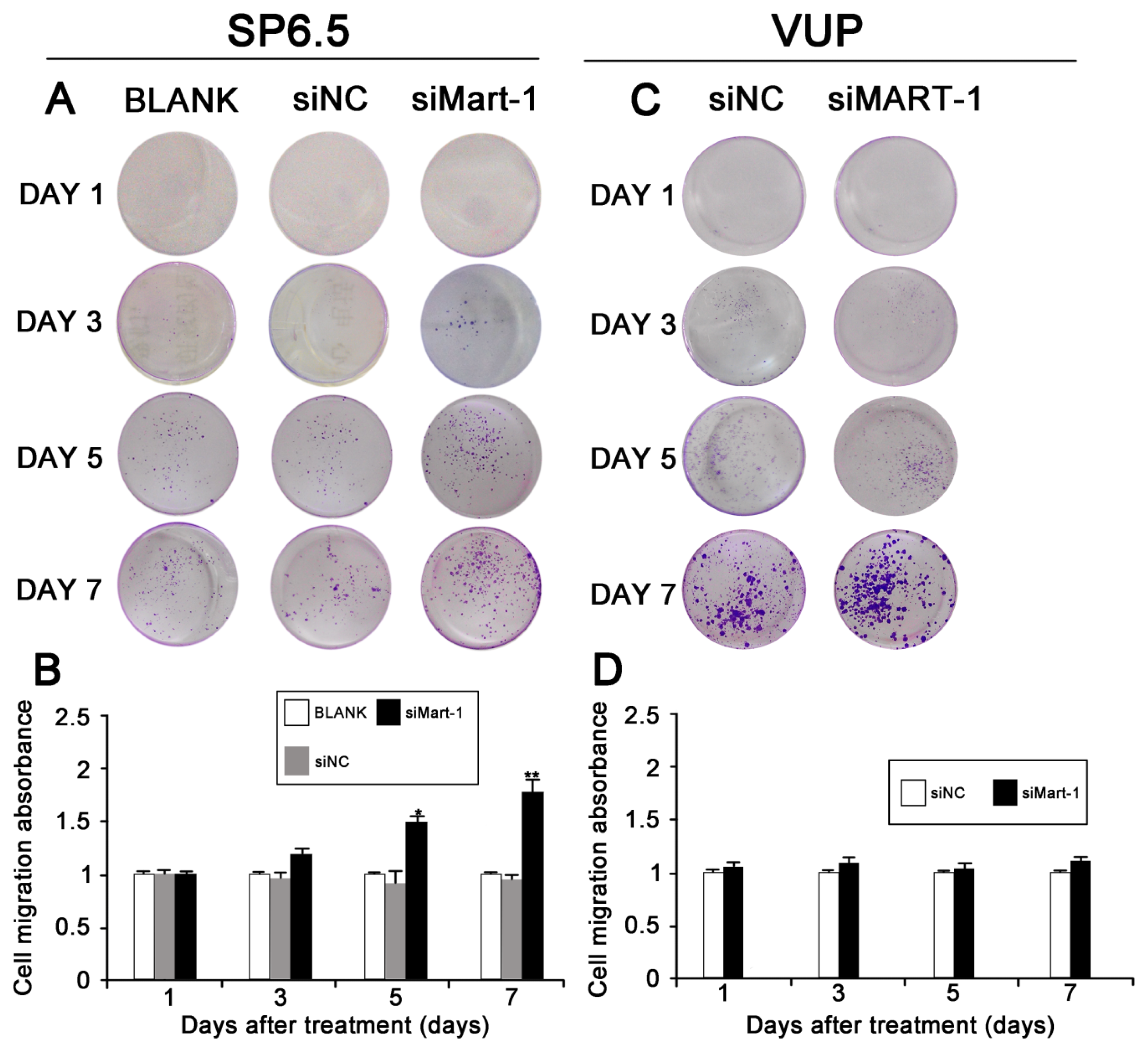 Ijms 14 15092f3 1024