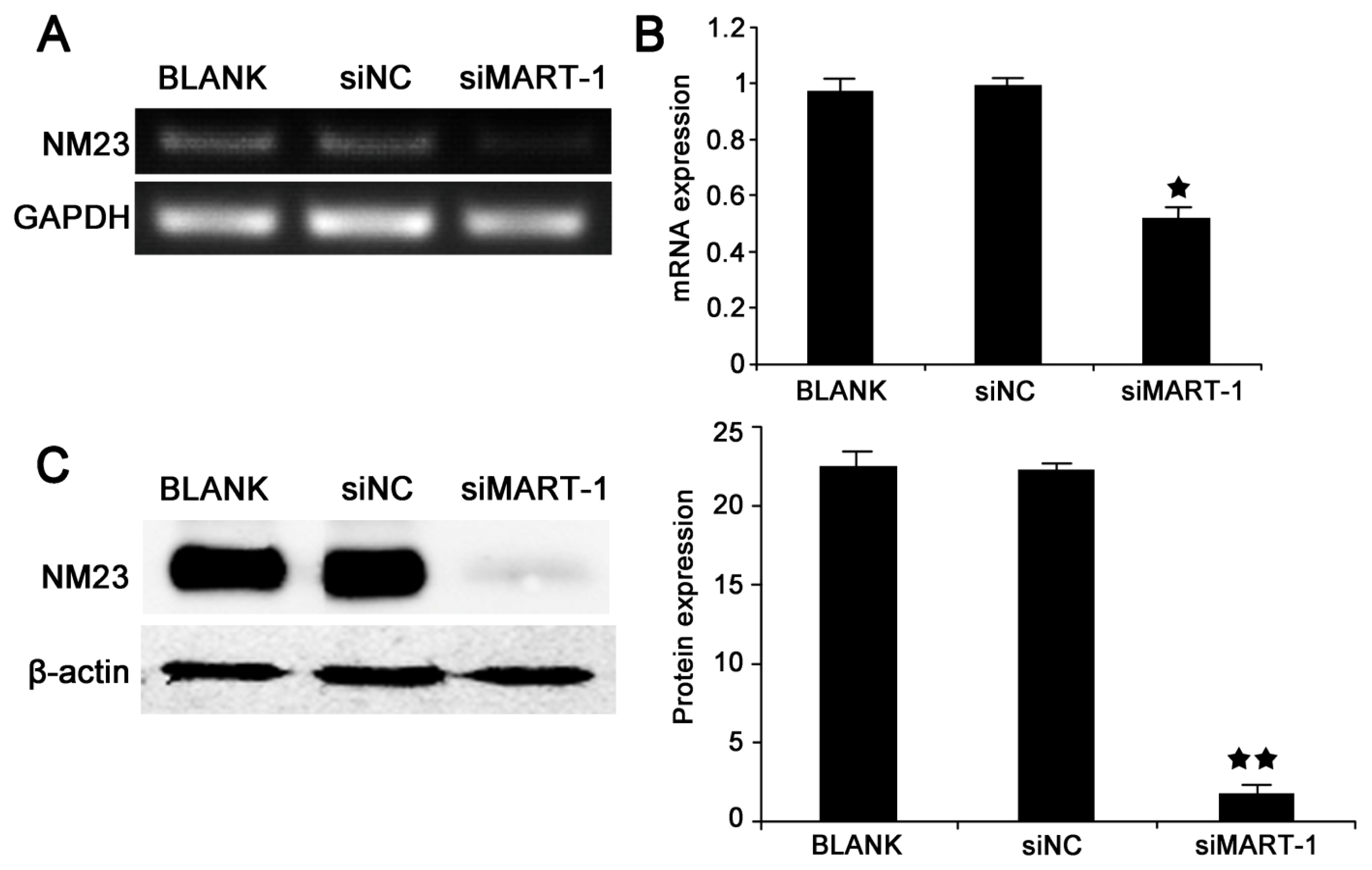 Ijms 14 15092f4 1024