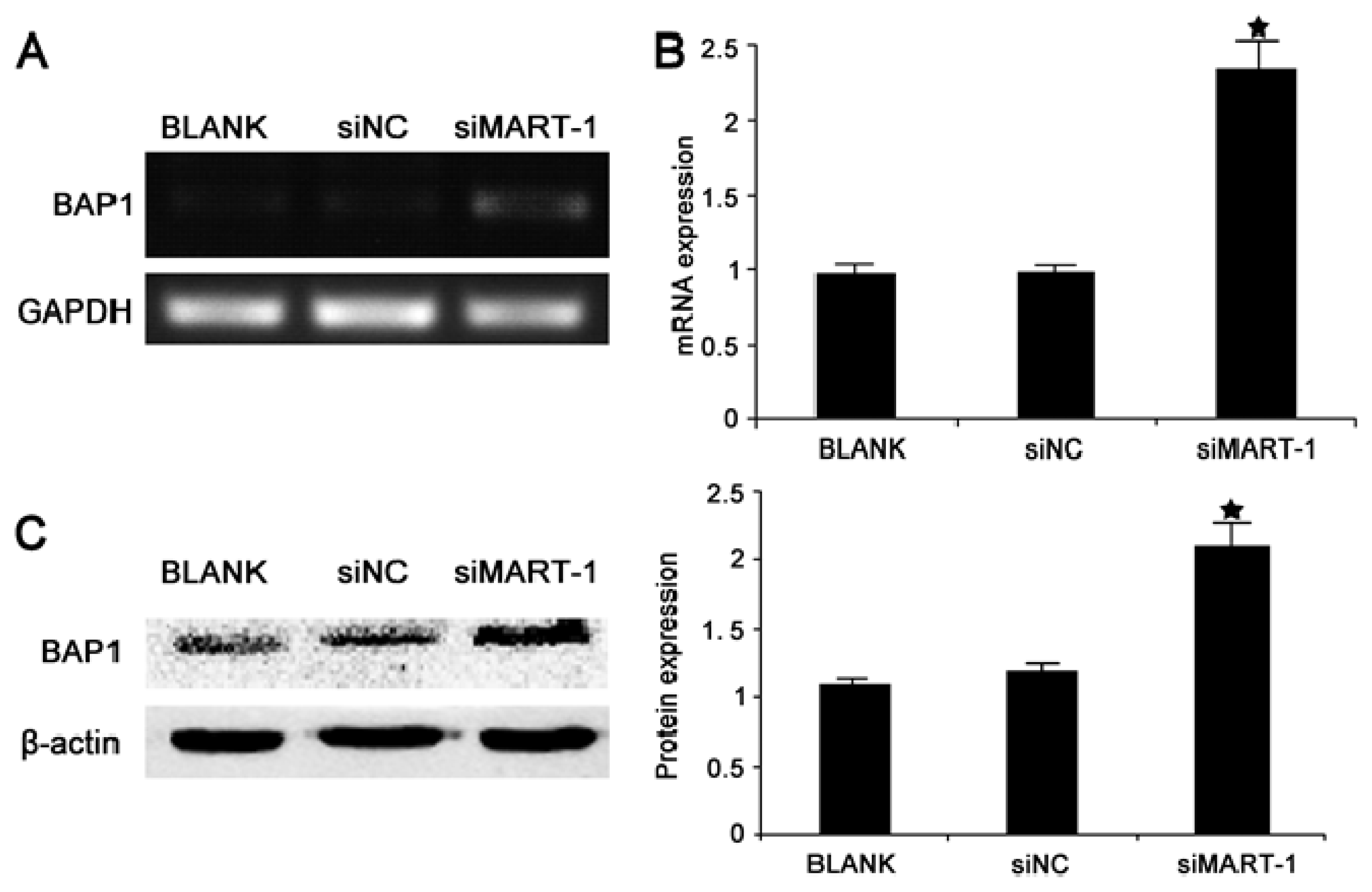 Ijms 14 15092f5 1024