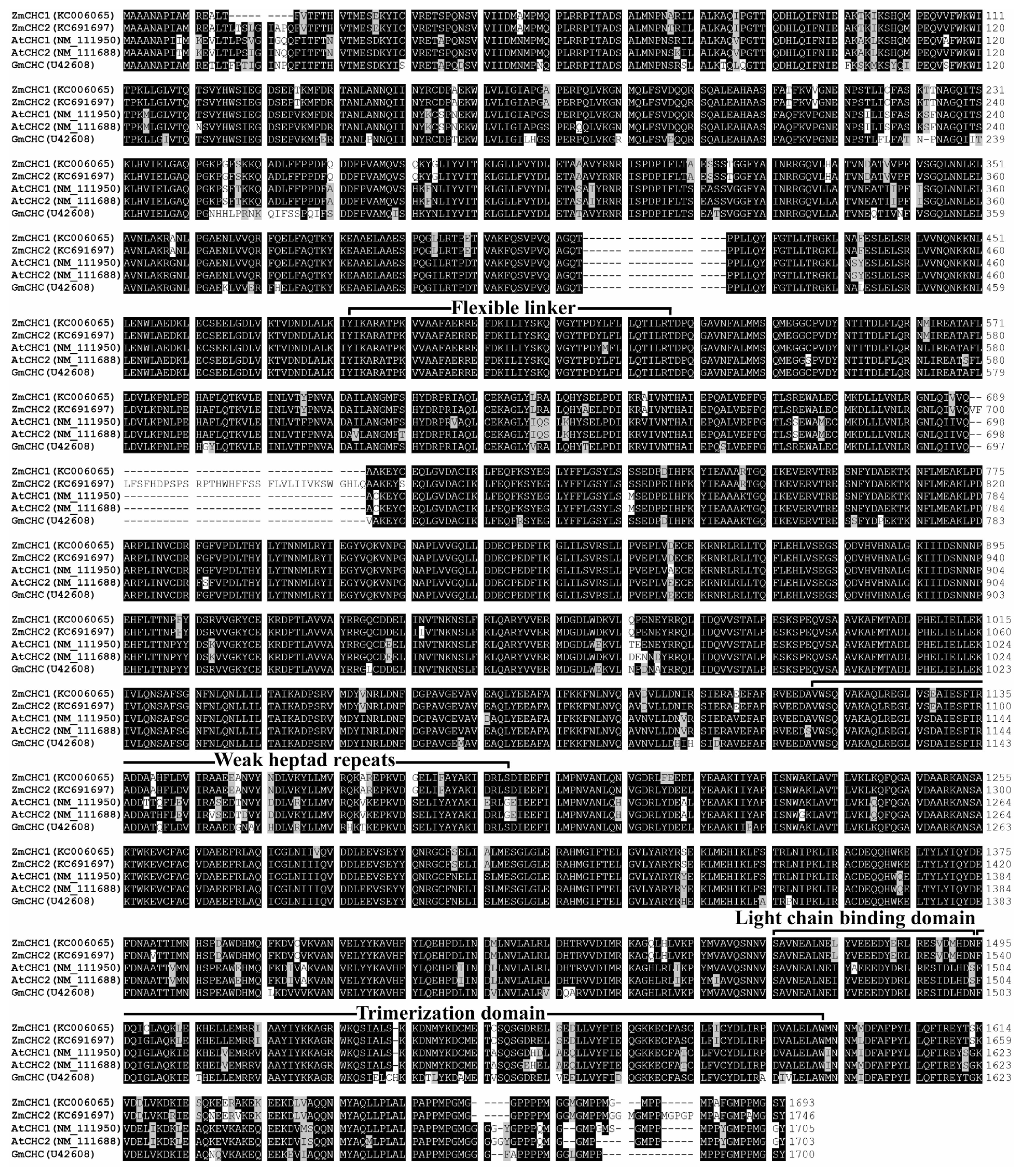 Ijms 14 15179f2 1024