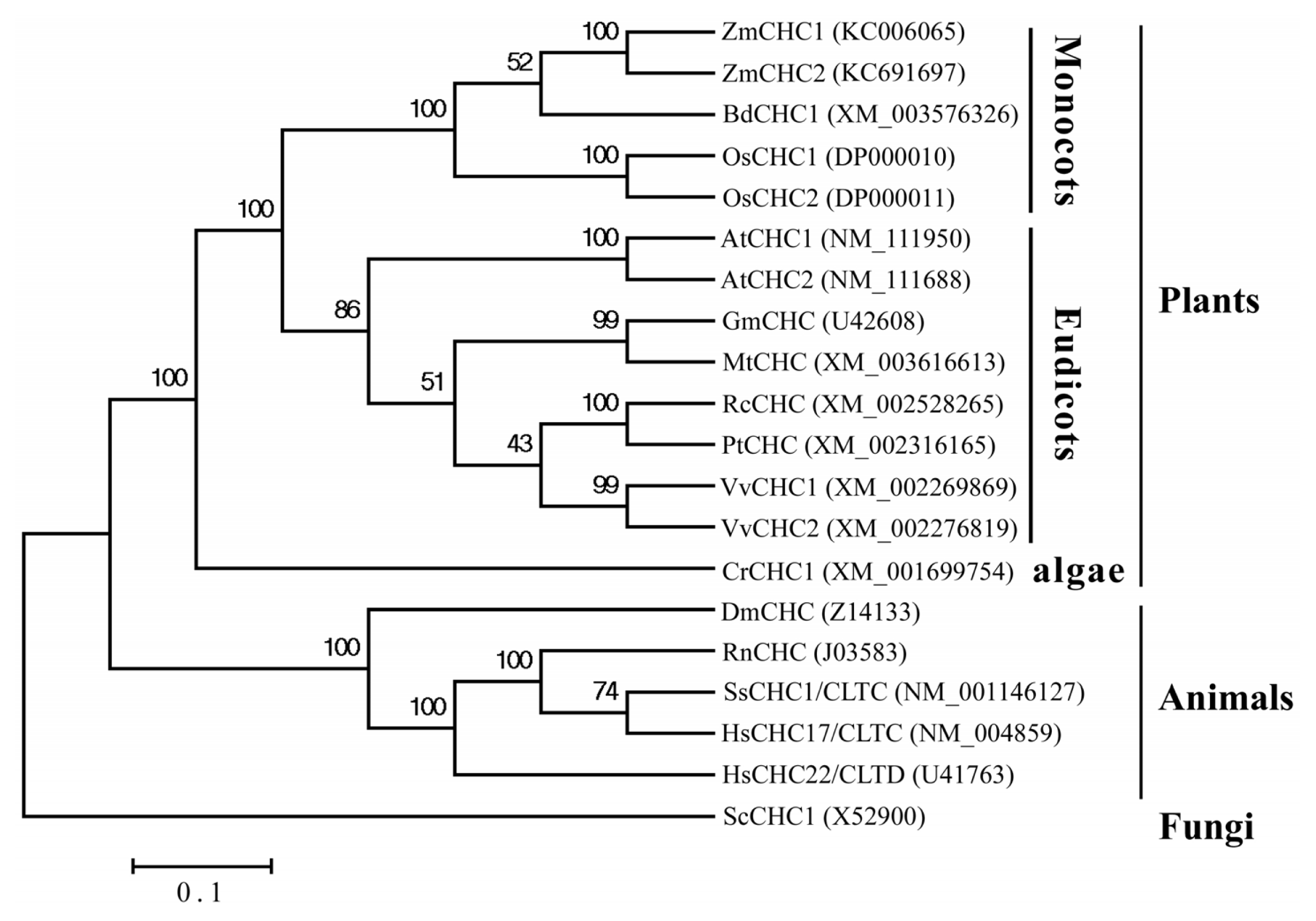 Ijms 14 15179f3 1024