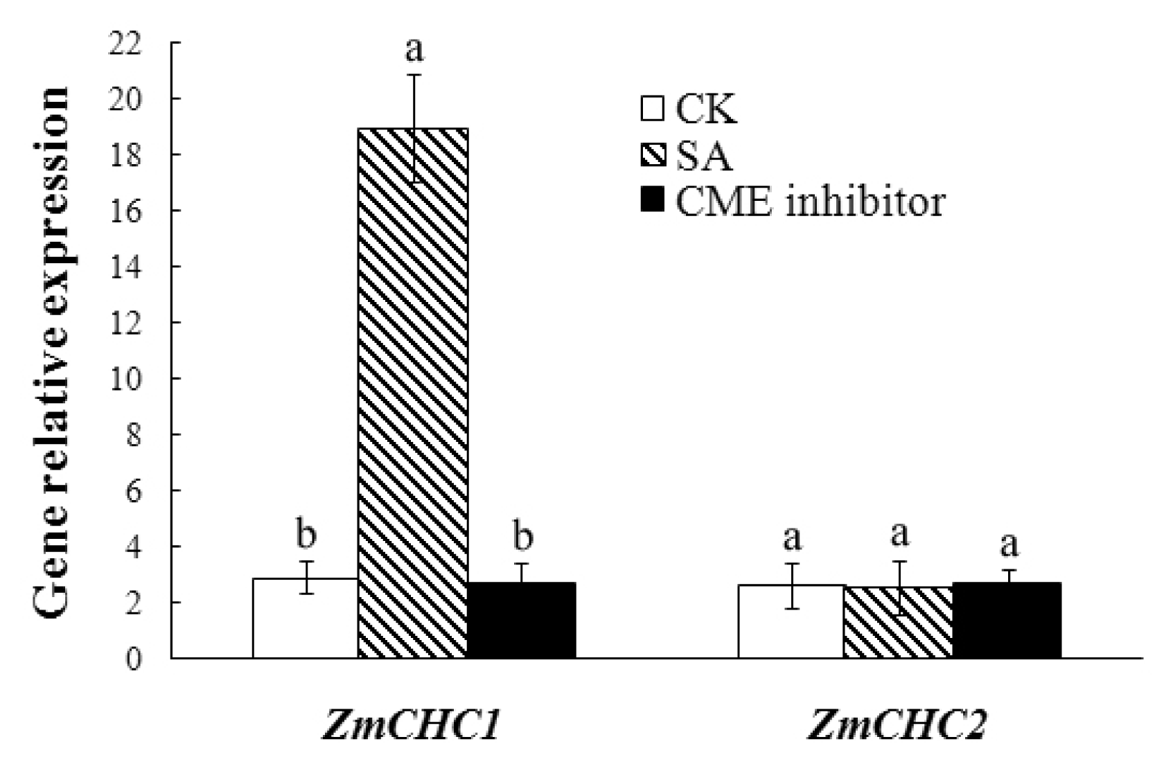 Ijms 14 15179f7 1024