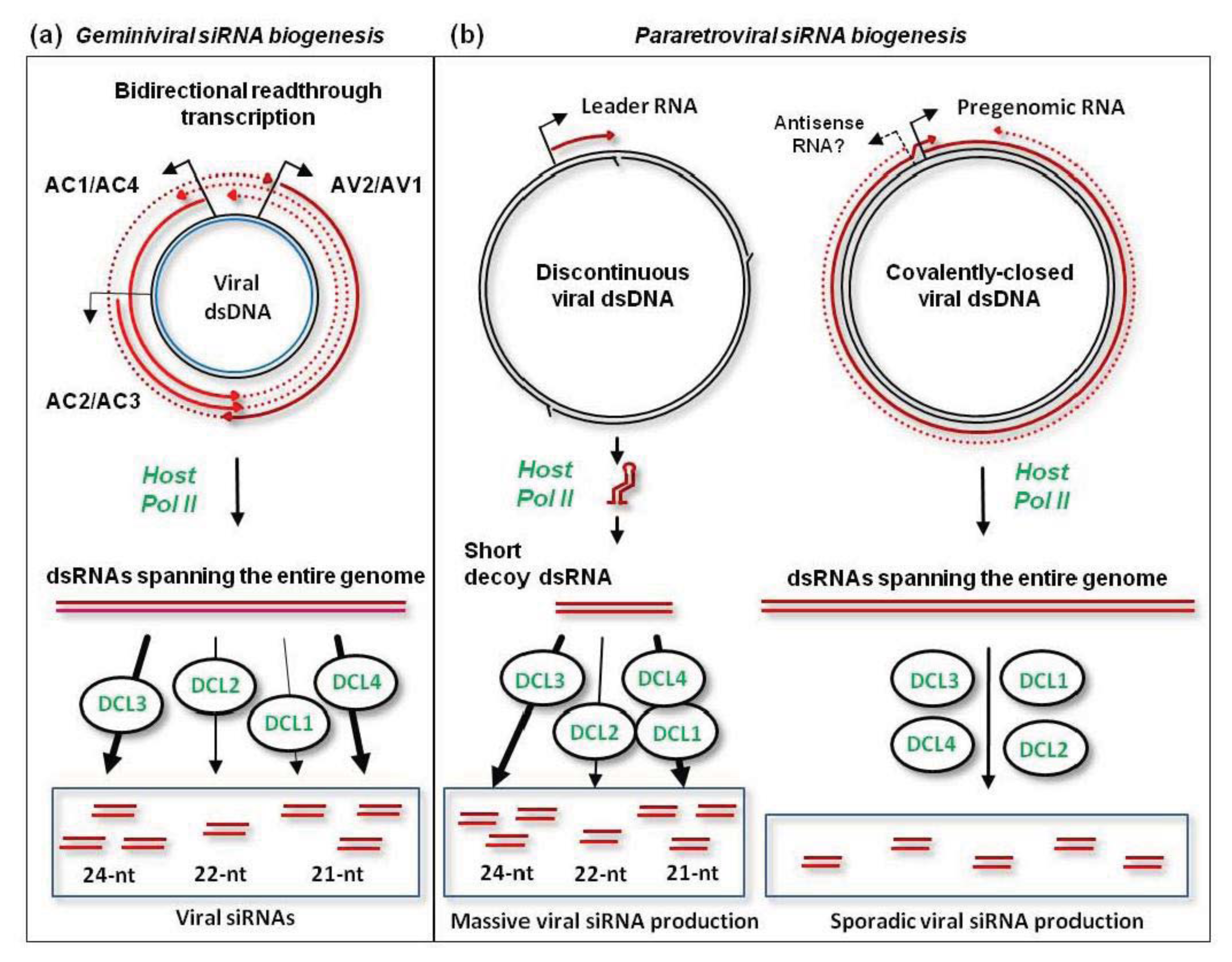 Ijms 14 15233f3 1024