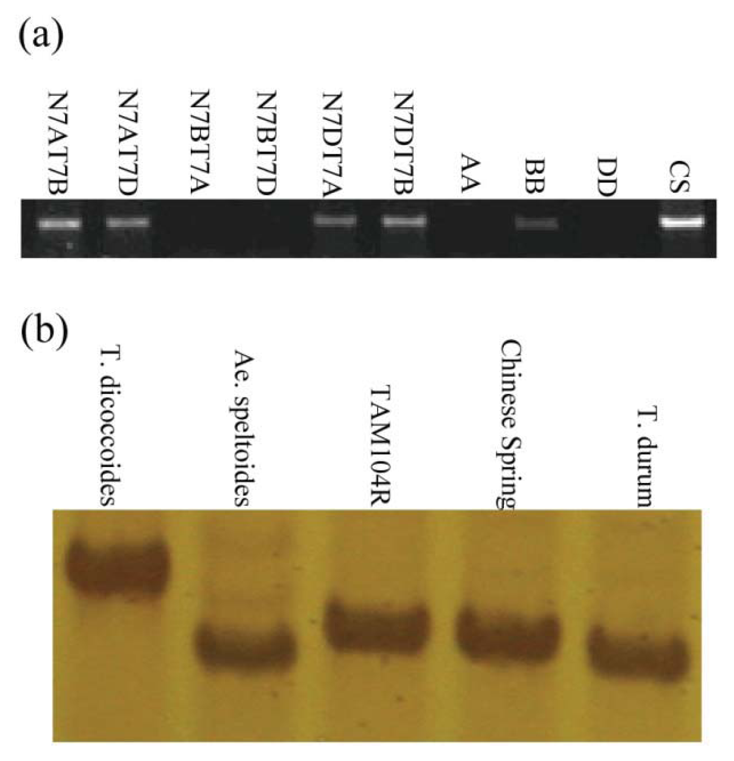 Ijms 14 15330f3