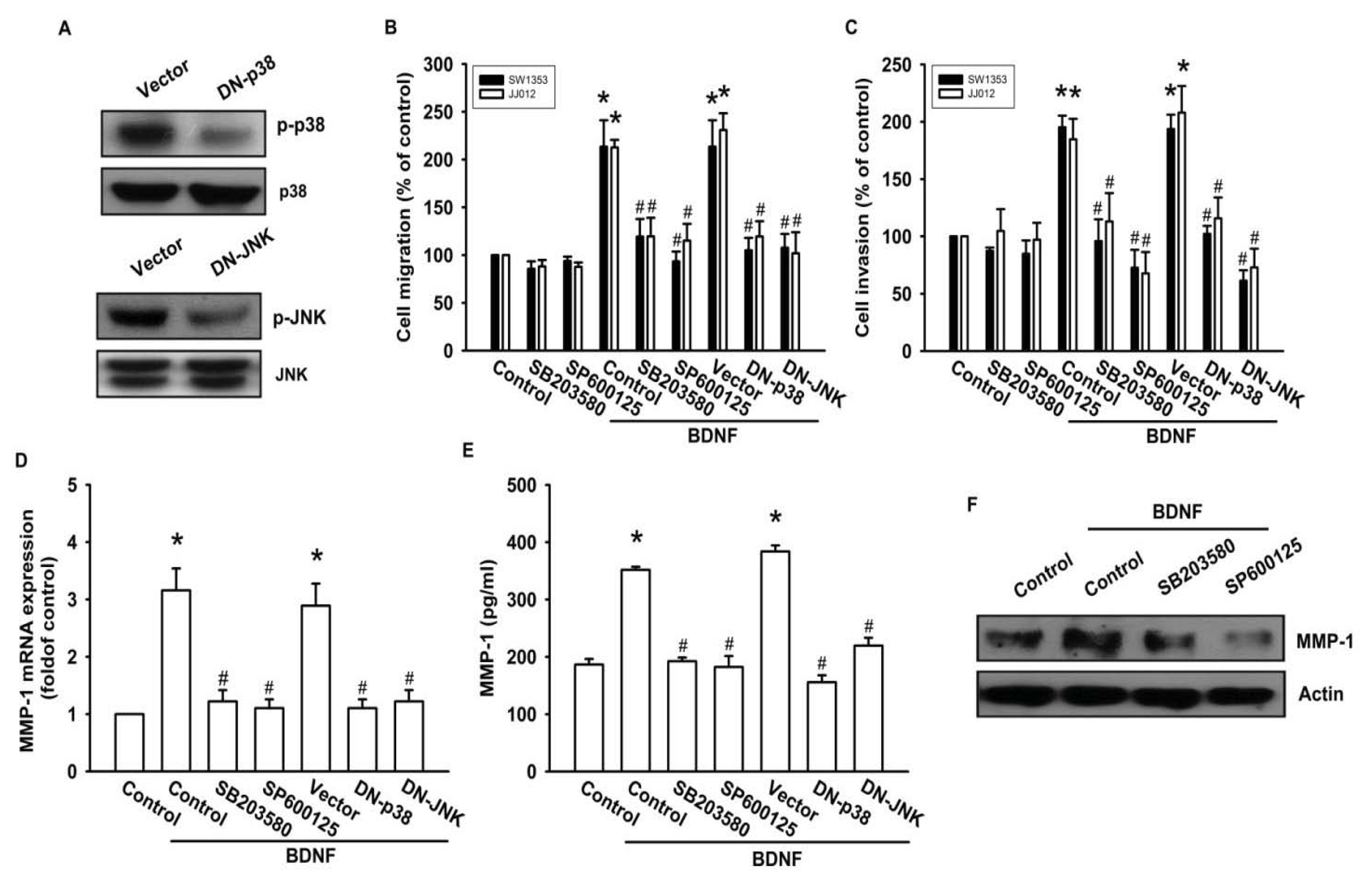 Ijms 14 15459f5a 1024