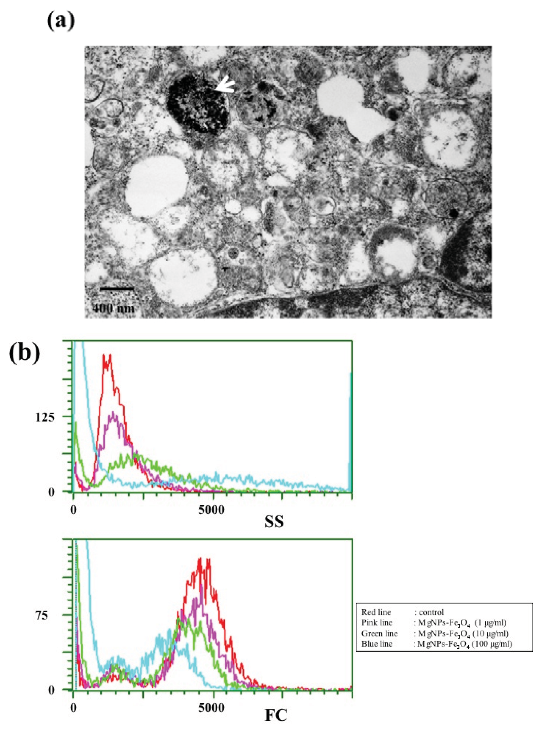 Ijms 14 15546f2 1024