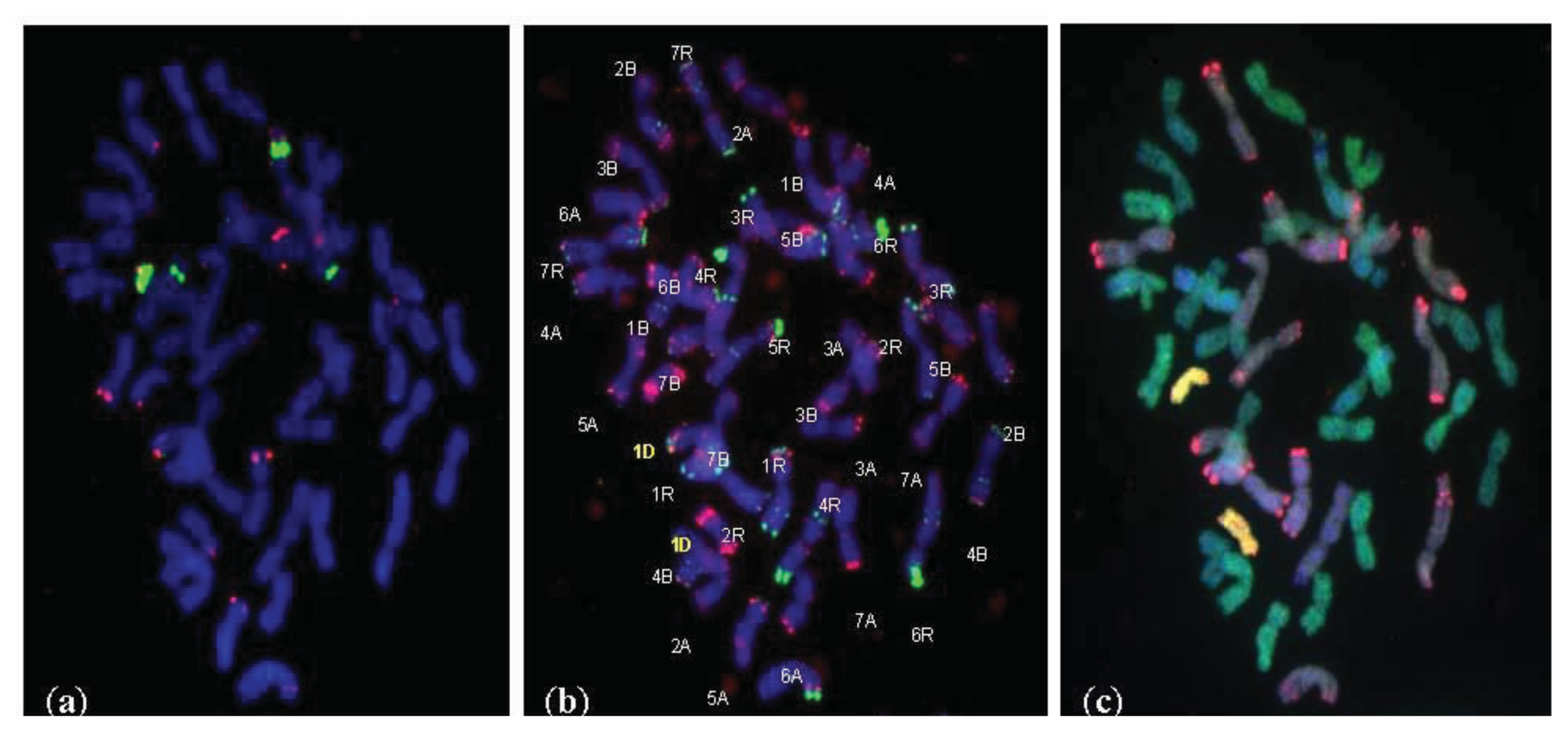 Ijms 14 15595f1 1024