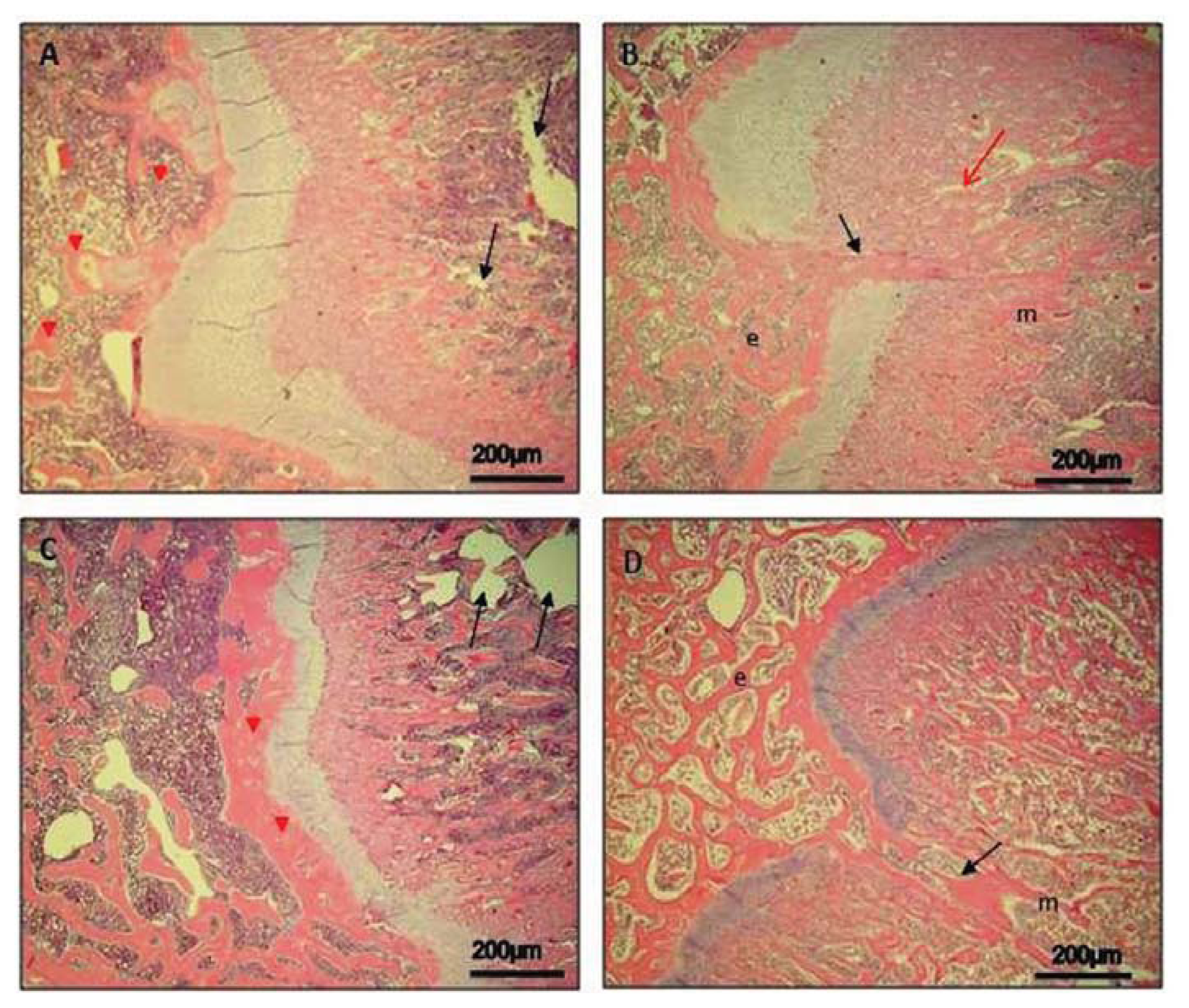 Ijms 14 15767f1 1024