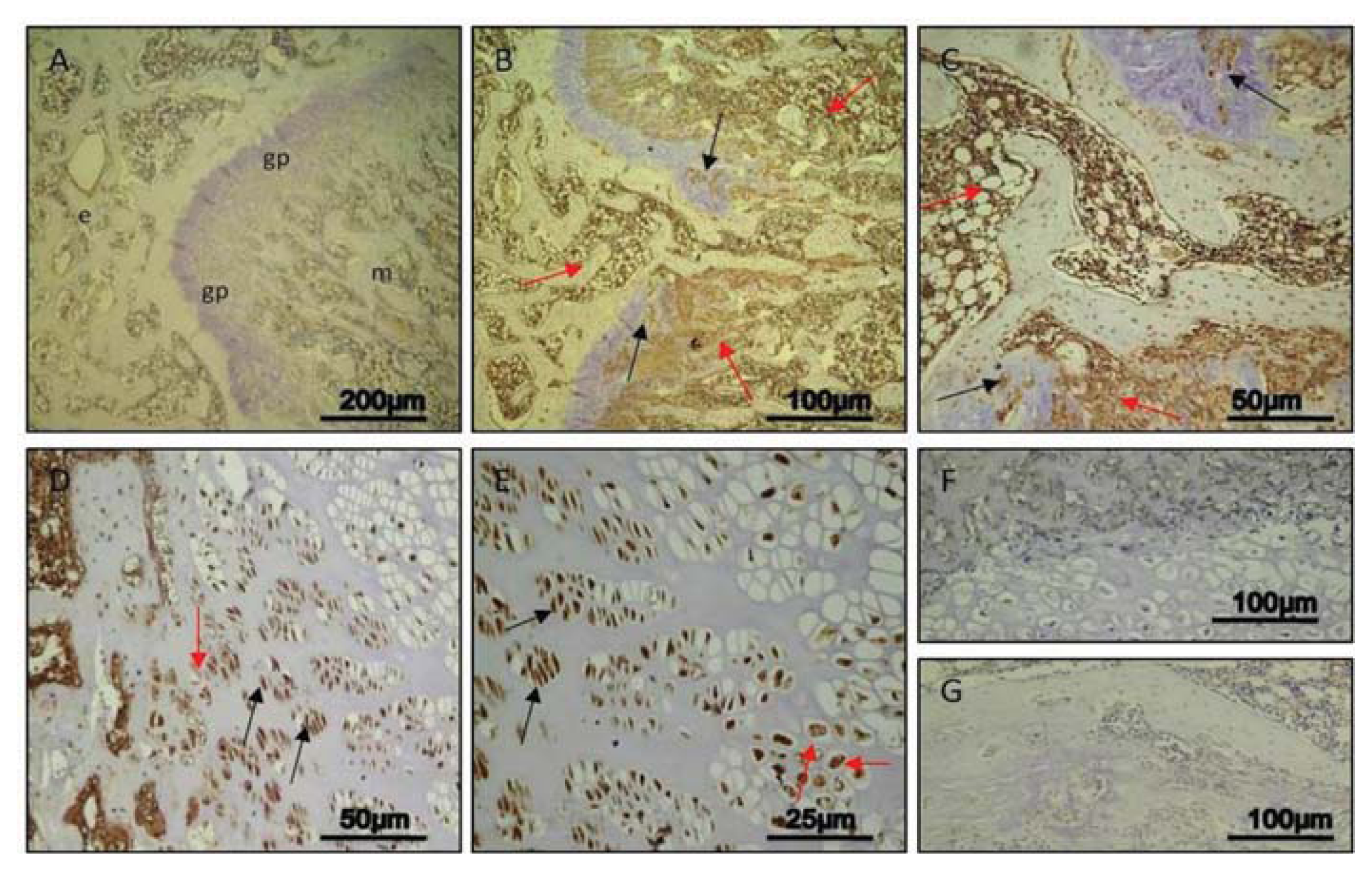 Ijms 14 15767f4 1024