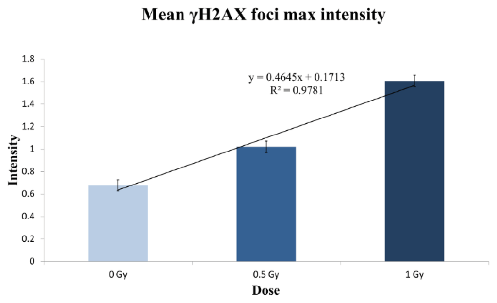 Highly Sensitive Automated Method for DNA Damage Assessment